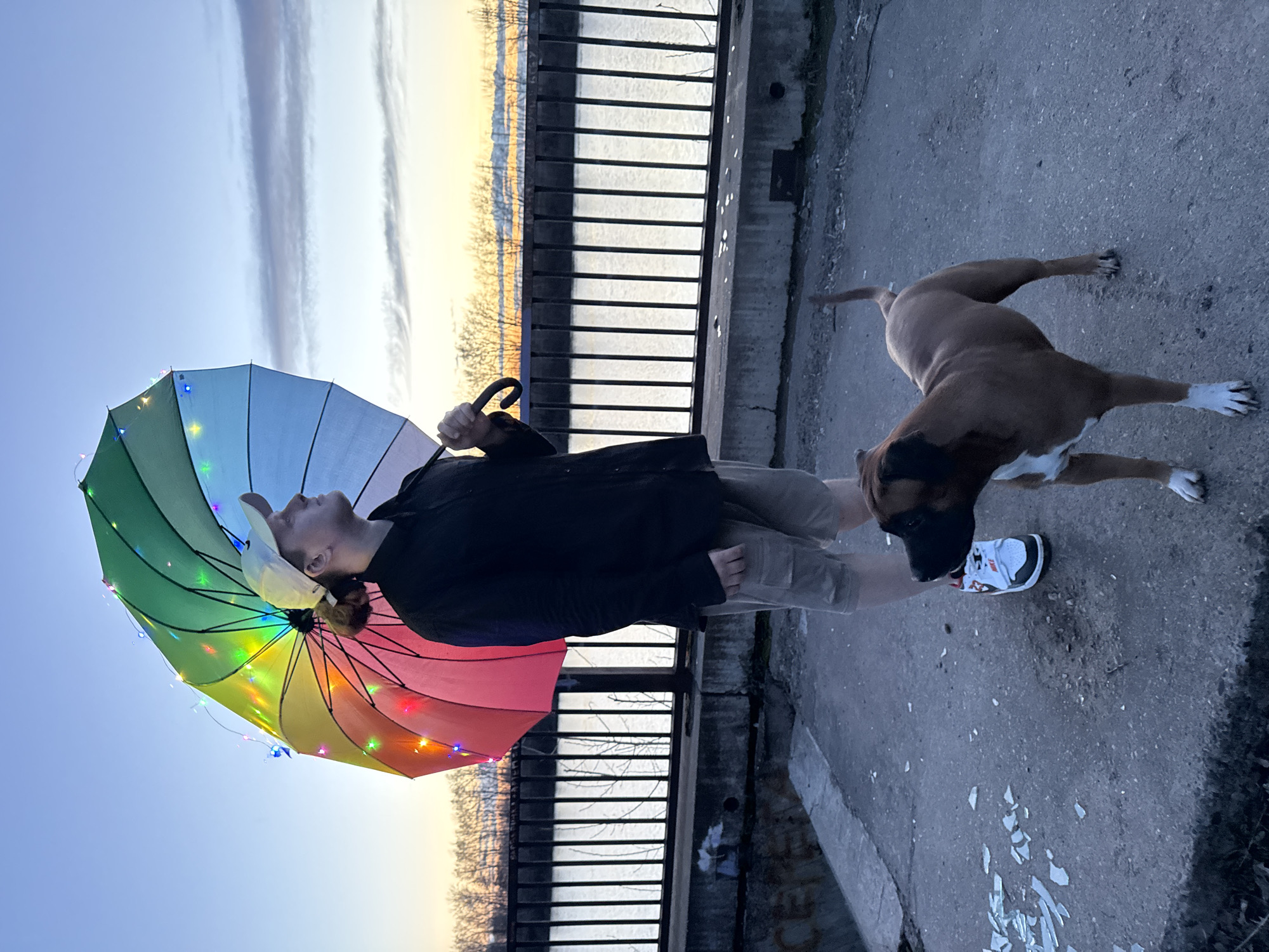 An outdoor, side-view image captures a person and a dog on a paved surface next to a body of water, likely in Chaikovsky, Russia, during golden hour.
The central subject is a person, possibly a young adult, with fair skin and light hair tied back, wearing a white baseball cap backward. They are dressed in a dark jacket and light-colored shorts. The person holds a vibrant, rainbow-colored umbrella, which is adorned with numerous small, multi-colored string lights (red, green, blue, yellow, orange). They are looking upward towards the sky, with the umbrella tilted over their head. One foot is visible, wearing a white and black sneaker with a red accent.
Adjacent to the person is a medium-sized dog, likely a Boxer, with brown fur and white markings on its chest and paws. The dog is positioned with its head down, appearing to sniff the concrete ground near the person's feet.
The setting features a concrete path or walkway that stretches into the distance. A black metal fence or railing with vertical bars runs alongside the path, separating it from what appears to be a body of water or a distant landscape. Beyond the fence, the horizon glows with warm yellow and orange hues, indicating either sunrise or sunset, while the upper sky is a clear light blue with some faint clouds. Bare trees or shrubs are visible on the distant shore or landscape. Scattered on the concrete ground in the foreground are several pieces of broken glass or shiny debris. No discernible text is visible in the image.