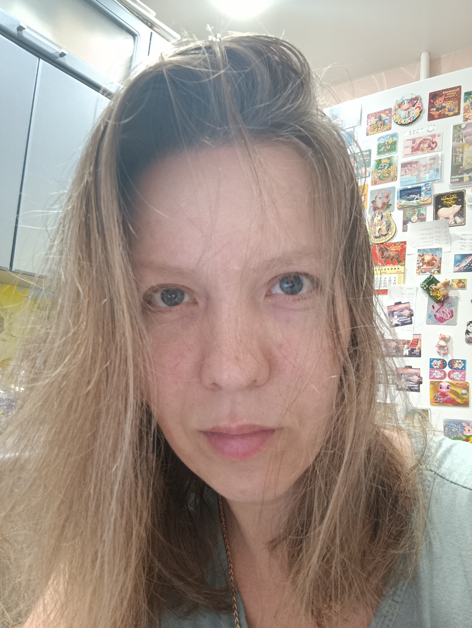 A close-up selfie of a middle-aged woman with light brown hair and blue eyes. Her hair is unkempt and falls around her face. She has a neutral expression. Behind her is a refrigerator covered with numerous magnets and notes. A section of a kitchen cabinet is visible in the upper left corner. The location is indicated as Chaikovsky, Russia.