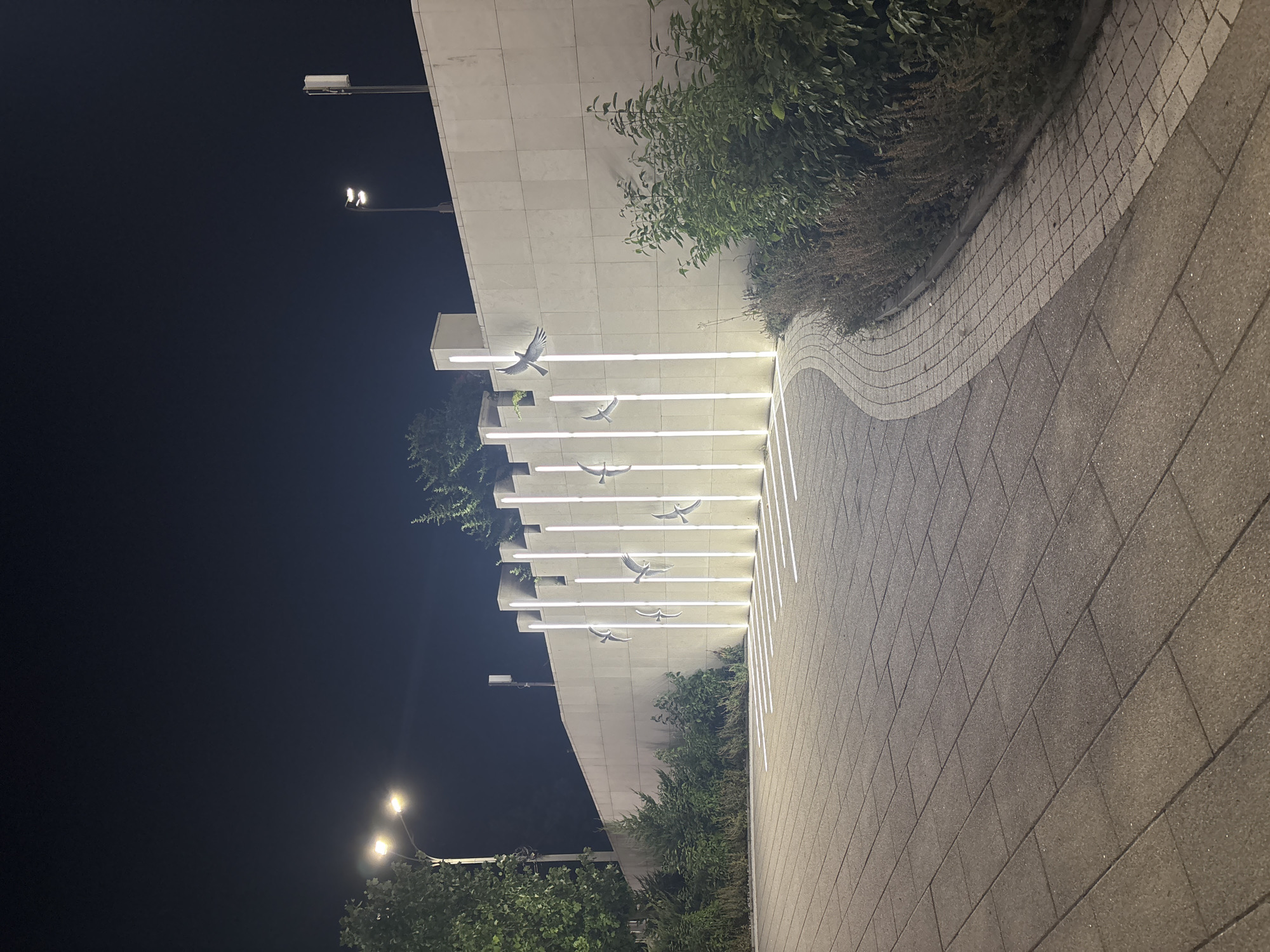 The image depicts an outdoor scene at night, likely in a city. A paved walkway, made of rectangular gray pavers, occupies the foreground and curves to the right. Adjacent to the walkway is a landscaped area with bushes and dry grasses, bordered by a curved pattern of lighter-colored pavers.
Dominating the background is a light-colored, stone-tiled wall. Along this wall, a series of vertical light fixtures are illuminated, casting a glow downwards and creating a striped effect on the pavement. Mounted on the wall, within the illuminated sections, are several metallic sculptures of birds in flight. The wall itself has a modern, somewhat minimalist design with some protruding rectangular elements.
In the distance, streetlights are visible, illuminating trees and part of the sky. On the right side of the wall, a tall, slender structure, possibly a communication tower, is present. The sky is dark, indicating nighttime.
The location is identified as the Monument to Migratory Birds on the embankment of the Kuban River in Krasnodar, Russia.