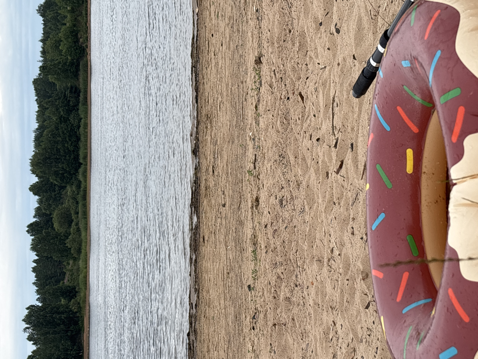 In Nevskaya Dubrovka, Russia, a donut-shaped inflatable ring lies on a sandy beach beside a body of water. The ring is primarily dark red with multi-colored sprinkles. A black object, possibly a fishing rod handle, is positioned to the right of the ring. The water appears calm, with a line of trees visible in the distance across the water. The sky is overcast.