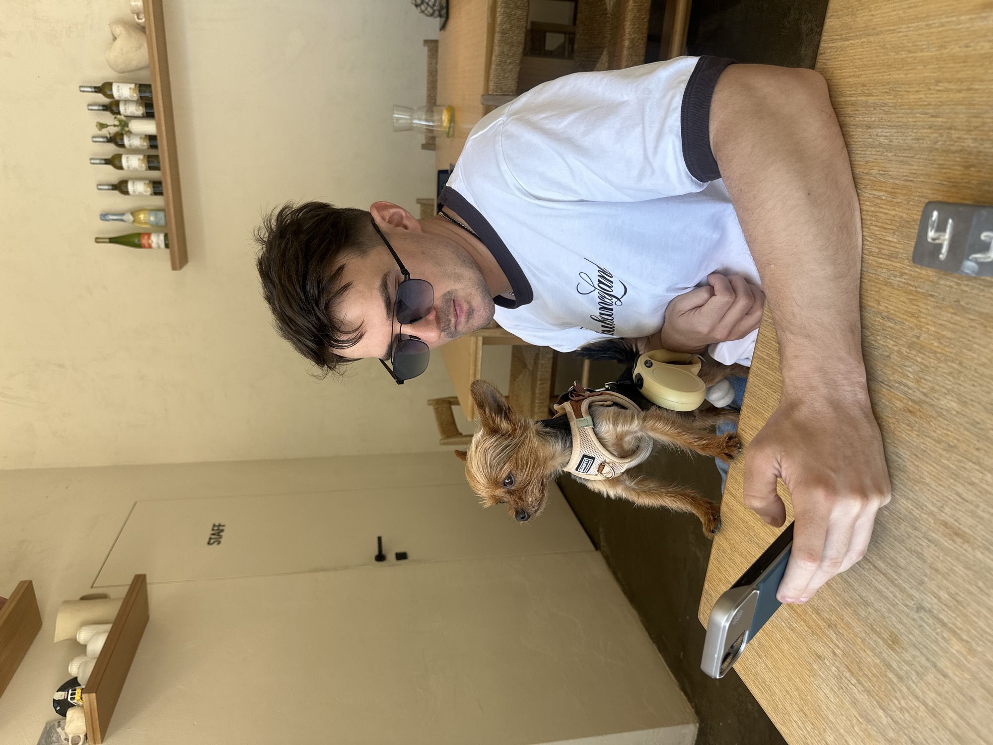 A brown-haired Caucasian male wearing sunglasses and a white and black trimmed T-shirt is sitting at a wooden table in what appears to be an indoor eatery or cafe in Batumi, Georgia. A small brown Yorkshire Terrier dog wearing a harness stands on the table. The man is holding a smartphone. Wine bottles are visible on a shelf in the background. A door labeled "Staff" is visible.