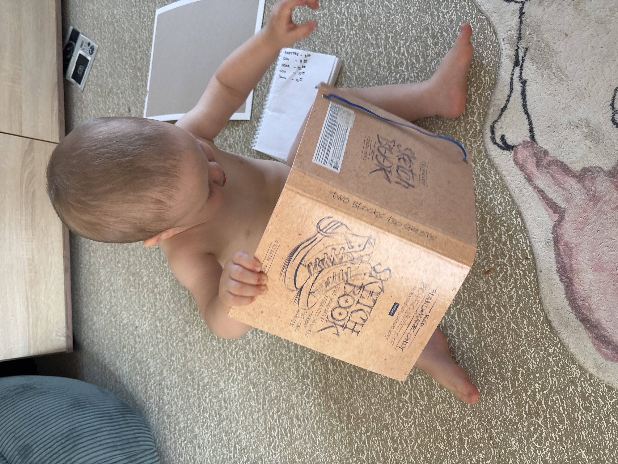 A Caucasian baby sits on a patterned carpet, holding an open sketchbook. The baby is facing away from the camera, looking down at the sketchbook. The sketchbook has a brown cover with drawings and text. To the right of the baby is a white spiral-bound notebook. In the background, a wooden cabinet is visible, and on the floor near it, a small, silver electronic device. The environment appears to be indoors, likely a home. The baby is unclothed.