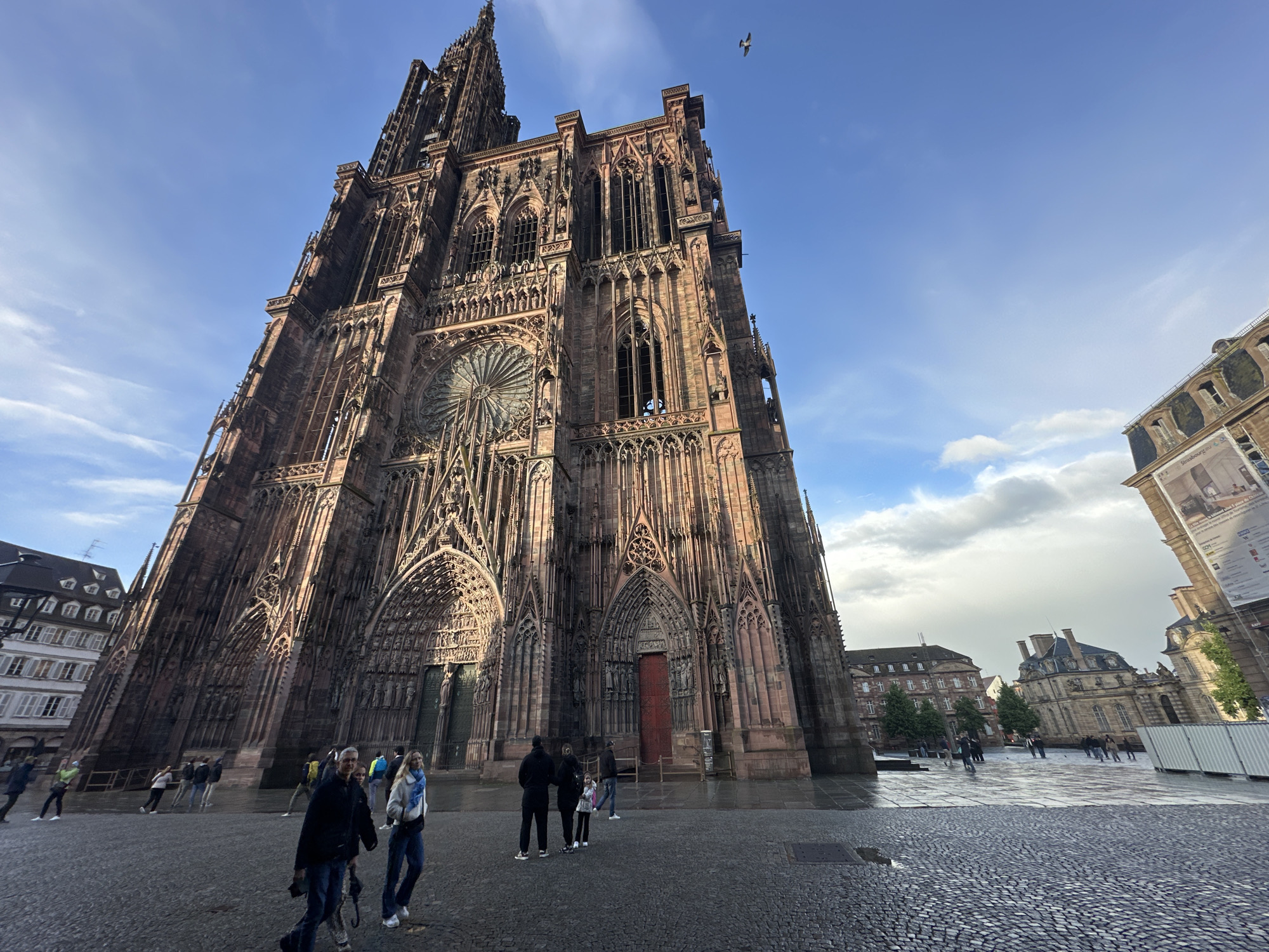 The image features the Strasbourg Cathedral (Cathédrale Notre-Dame de Strasbourg) in Strasbourg, France. The cathedral dominates the scene, its reddish-brown sandstone exterior showing intricate Gothic details. A group of people are gathered in the foreground, some walking while others stand and observe. The square in front of the cathedral appears wet, suggesting recent rain or cleaning. Several other buildings are visible in the background, flanking the cathedral, and they include ornate details. The sky is partly cloudy, with sunlight casting shadows on the buildings. A bird is flying in the sky above the cathedral. The cobblestone pavement in the foreground reflects the light, emphasizing the wet surface.