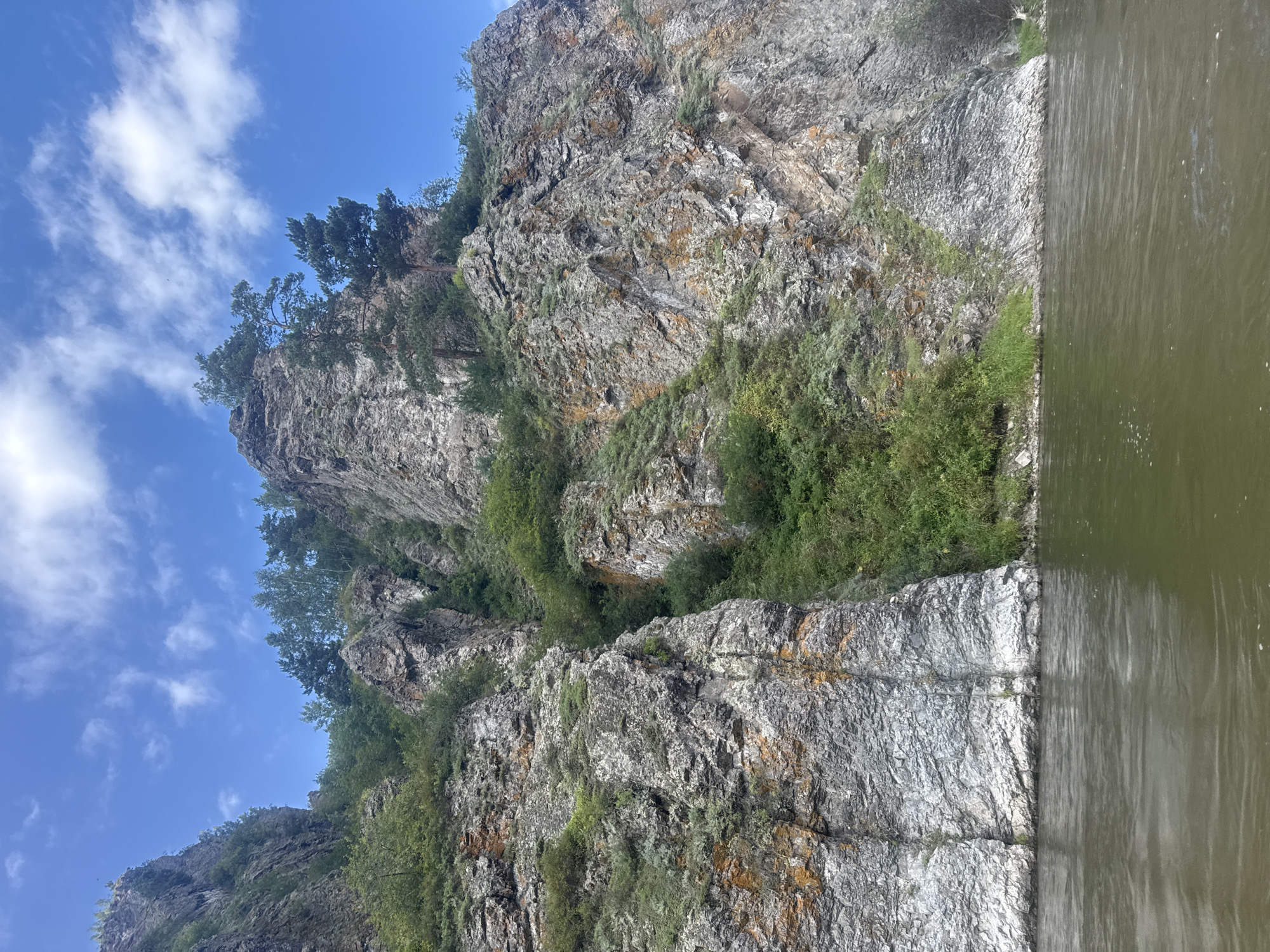 The image shows a river flowing past a steep, rocky cliff face. The cliff is covered in vegetation, including trees and bushes. The sky is blue with some white clouds. The water in the river is murky green. The scene is a natural landscape, likely a river canyon. There are no people or man-made structures visible in the image. Based on the provided context, the location is likely near the city of Ust'-Mana, Russia, a place known for its natural beauty along rivers.