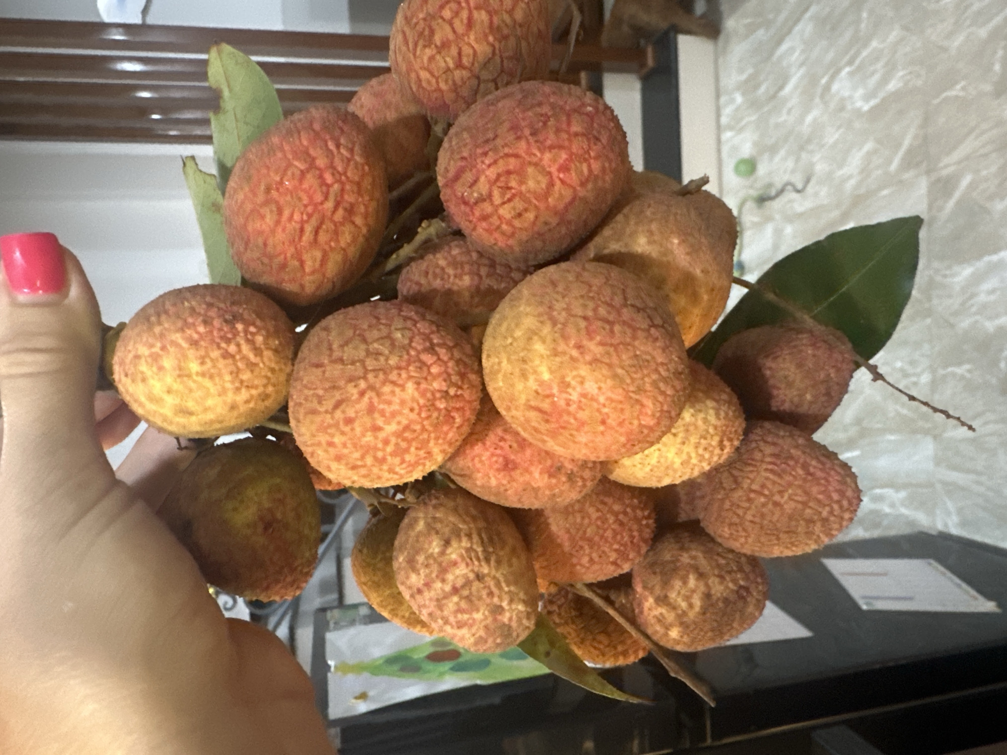 A human hand with a red fingernail on the thumb holds a cluster of lychee fruits with some attached leaves. The background suggests an indoor setting, possibly a kitchen or dining area, with hints of shelves and countertops. Given the context, it can be surmised that the photo was taken in Bac Nha Trang Ward, Vietnam, as specified.
