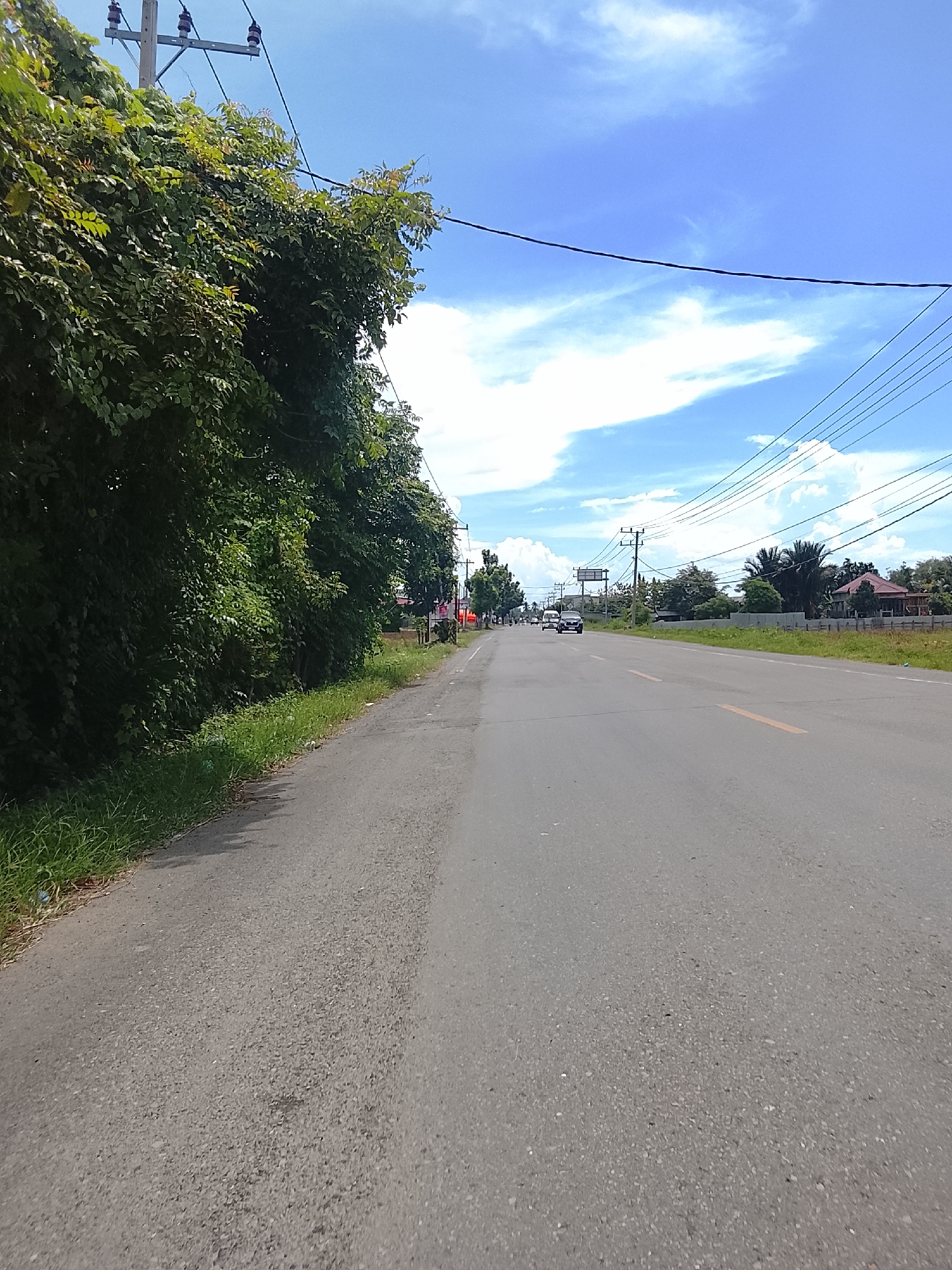 The image depicts a paved road in Manyang Cut, Indonesia, on a clear day with a bright blue sky and scattered white clouds. The road appears to be a two-lane highway with a yellow line dividing the lanes. On the left side of the road, there is a dense thicket of green trees and vegetation, with some grass growing along the roadside. On the right side of the road, there are scattered trees, a fence, and buildings in the distance. Utility poles with power lines are visible throughout the scene, running along the sides of the road and overhead. A few cars are visible on the road, some moving and some parked. The overall scene suggests a semi-rural or suburban environment.