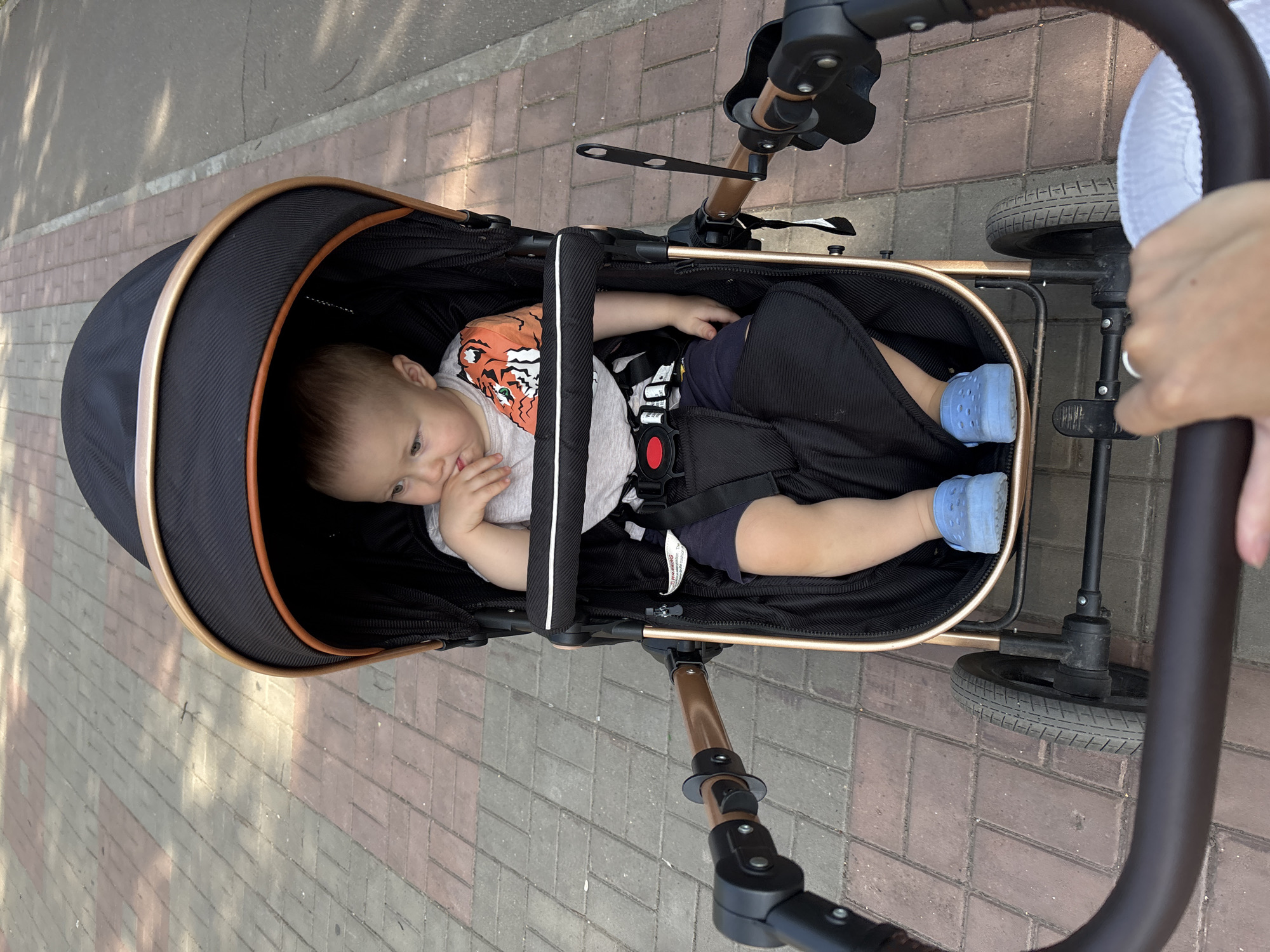 In Naberezhnye Chelny, Russia, a toddler is seated in a black and gold stroller on a paved pathway. The child, wearing a grey t-shirt with a tiger graphic and blue shoes, is looking to the side. A person's hand is visible at the bottom of the frame, holding the stroller's handle. The background shows a tree-lined area with dappled sunlight on the path.
