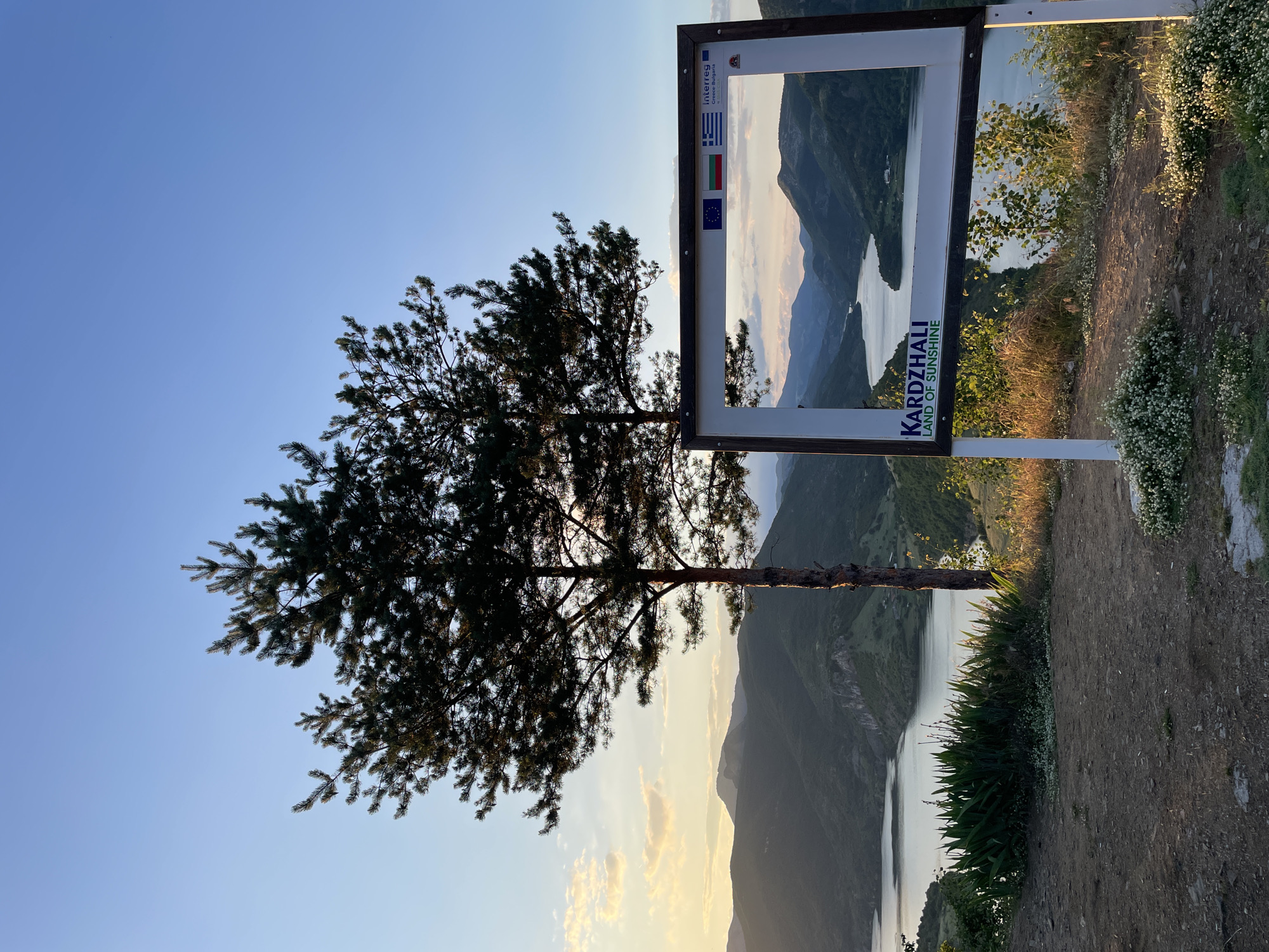 A scenic viewpoint in Ribartsi, Bulgaria, offers a framed view of a serene reservoir surrounded by rolling, verdant hills under a clear blue sky with a hint of sunset. Two tall pine trees stand to the left of the frame, casting shadows on the sun-drenched landscape. In the foreground, a large white photo frame stands on a wooden post, featuring several European Union flags and a sign that reads "KARDZHALI LAND OF SUNSHINE." The ground is covered with dirt, scattered rocks, and small white wildflowers. The reservoir water reflects the soft light of the sky, creating a tranquil and picturesque scene.