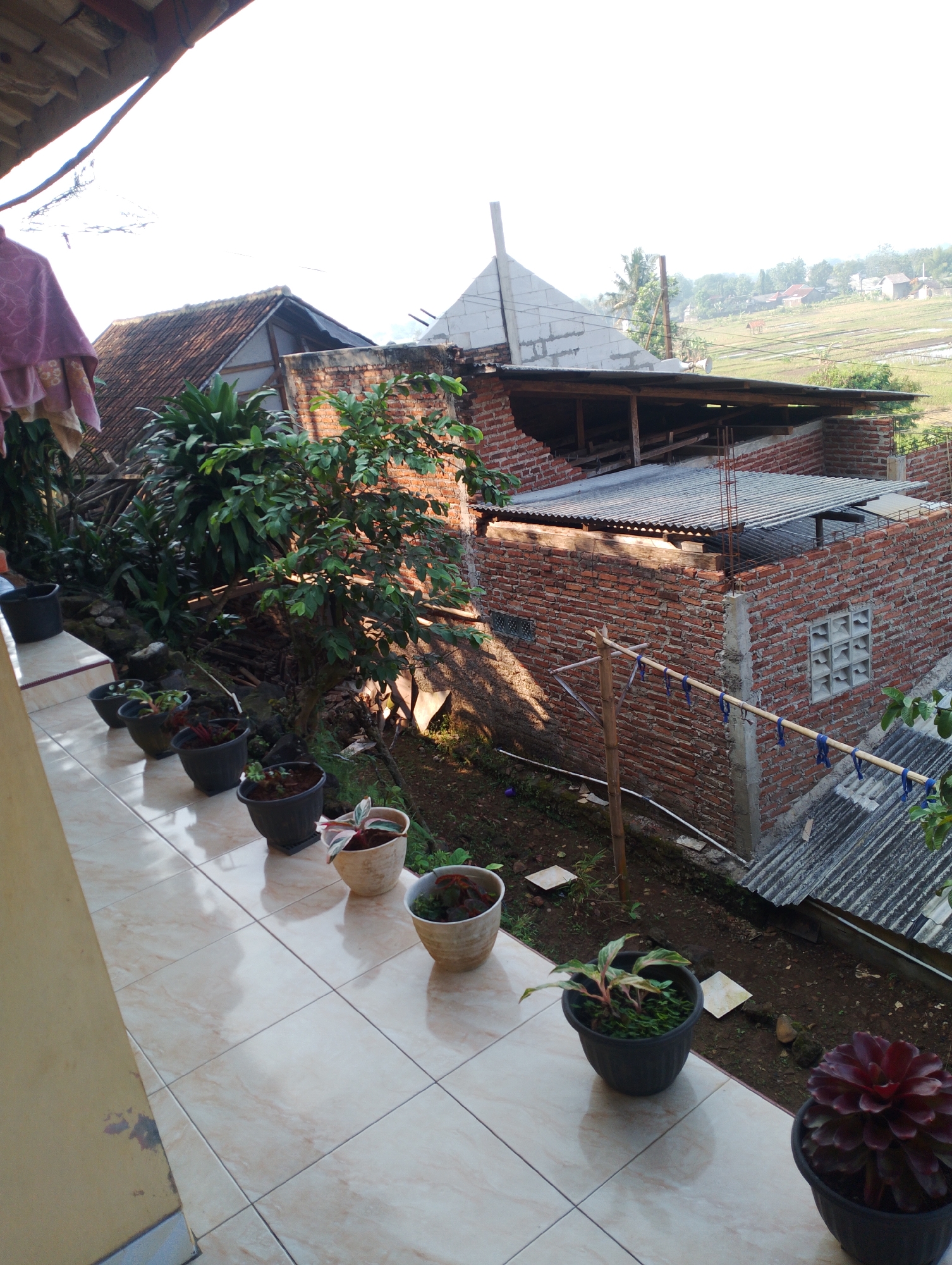 The image depicts an outdoor scene, likely a balcony or patio, with a view overlooking a residential area. In the foreground, a tiled floor is visible, with several potted plants arranged along the edge. These plants vary in size and type, with some in dark plastic pots and others in lighter-colored ceramic pots. One particularly striking plant in a dark pot at the bottom right features deep red, succulent-like leaves.
Beyond the balcony, the scene opens up to reveal a collection of buildings constructed with red brick. Some of these structures appear to be unfinished or under construction, with exposed wooden beams and corrugated metal roofing. A prominent feature is a house with a traditional tiled roof and an unfinished white-tiled apex. A clothesline with blue ribbons strung between bamboo poles is also visible.
Further in the background, the landscape transitions into terraced rice fields, suggesting a rural or semi-rural setting in Sukamanah, Indonesia. The fields are a light green, indicating they are either growing or have recently been harvested. In the distance, more houses and trees dot the rolling hills, all under a bright, overcast sky.
The lighting suggests it is daytime, possibly morning or late afternoon, given the soft light and shadows. There is no visible text in the image. The overall impression is one of a lived-in, somewhat rustic environment, with a blend of residential construction and natural landscape.