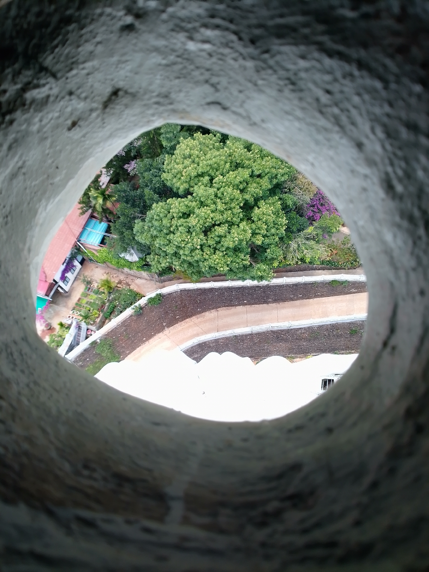 The image shows a view from a circular hole in a likely concrete structure, looking downwards. Outside the hole, there's a mix of foliage, including a large green tree and some flowering plants with purple blossoms. A building with a red roof and a blue awning is visible, along with what appears to be a garden area with various plants. Below that, there are terraced garden beds with what looks like white structures or coverings further down. The location is indicated as Thôn 3, Vietnam.