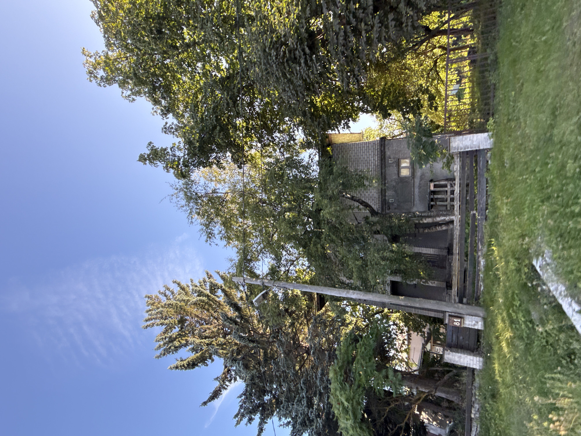 In Tallinn, Estonia, the image captures a property featuring a two-story building with a grey tiled roof and dark grey walls. The building has at least two windows visible on the upper floor and a small, square window on the lower floor. A wooden fence with white brick pillars encloses the property, and a dark brown wooden gate with the number "81" is prominent. Large trees, including a tall evergreen and deciduous trees with green leaves, surround the house and fence. A wooden utility pole with a lamp is positioned near the fence. The scene is set against a clear blue sky with wispy white clouds, illuminated by what appears to be late afternoon sunlight, casting long shadows across the grassy foreground.