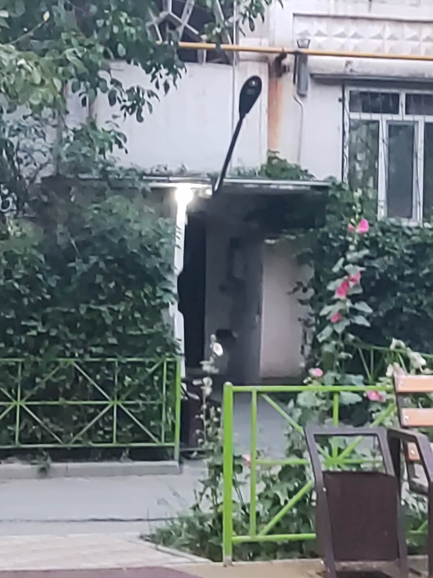 The image depicts an exterior scene in Shymkent, Kazakhstan, featuring a building with a light-colored facade, a small balcony overhang, and a window with white frames. Lush green foliage and pink hollyhock flowers are visible around the building. In the foreground, a green metal fence encloses a path or walkway. A dark-colored outdoor trash receptacle and a wooden bench are situated behind the fence. A street lamp is also present, angled towards the building. The scene appears to be set during daylight hours.