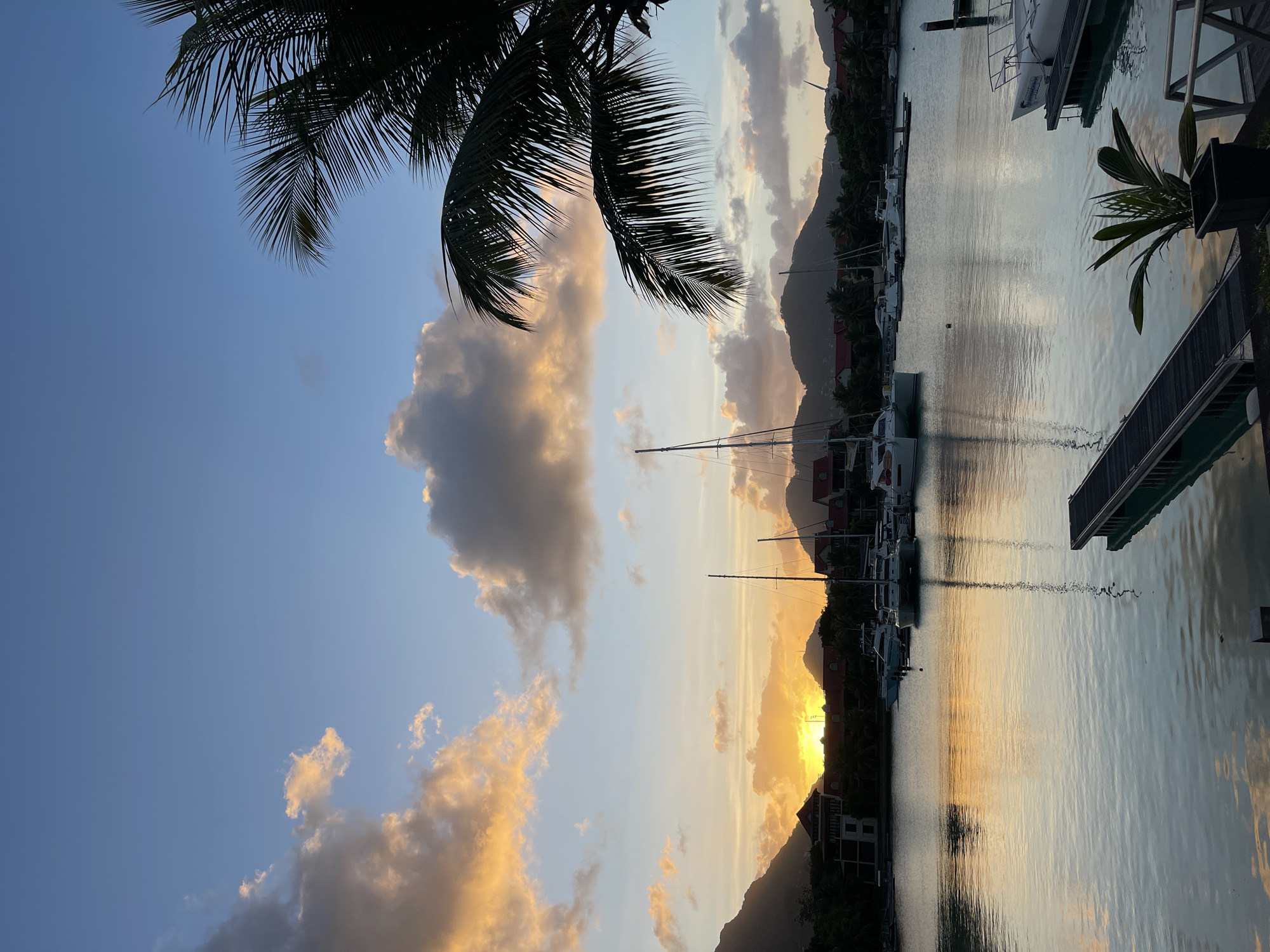 The image depicts a harbor scene at sunset in Providence, Seychelles. The sky is a gradient of blues and oranges, with scattered clouds catching the last rays of sunlight. Several sailboats and yachts are moored in the calm water, their masts and reflections visible. In the background, lush green hills rise, dotted with buildings that appear to be houses or resorts with red roofs. A palm tree in the foreground frames the right side of the image, its fronds silhouetted against the sky. A wooden jetty extends into the water from the bottom right, with a potted plant nearby. The overall atmosphere is serene and tranquil, typical of a tropical evening.