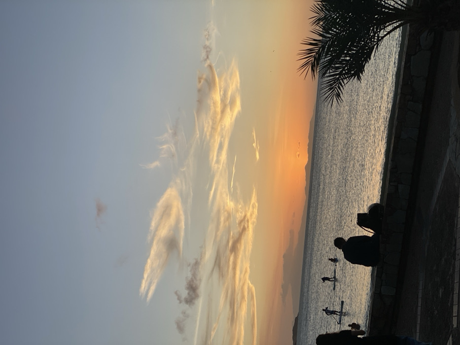 The image depicts a coastal scene at sunset in Juan Griego, Venezuela. The sky transitions from a pale blue at the top to vibrant orange and yellow hues near the horizon, with scattered clouds illuminated by the setting sun. A prominent orange sun disc is visible just above the water line, partially obscured by distant, silhouetted landforms (hills or mountains). The body of water, likely the Caribbean Sea, exhibits a dark, calm surface.
In the mid-ground, four human figures are visible on stand-up paddleboards, silhouetted against the water and sunset. On the immediate left foreground, two additional human figures are partially visible in silhouette. In the central foreground, a solitary human figure is seated in silhouette on a low stone wall, facing the water and sunset. A dark bag or object rests beside this figure on the wall. The stone wall, composed of irregular dark stones, delineates the edge of a paved promenade or pathway. A partial palm tree with dark fronds occupies the lower right corner, also in silhouette. The overall lighting indicates late evening.