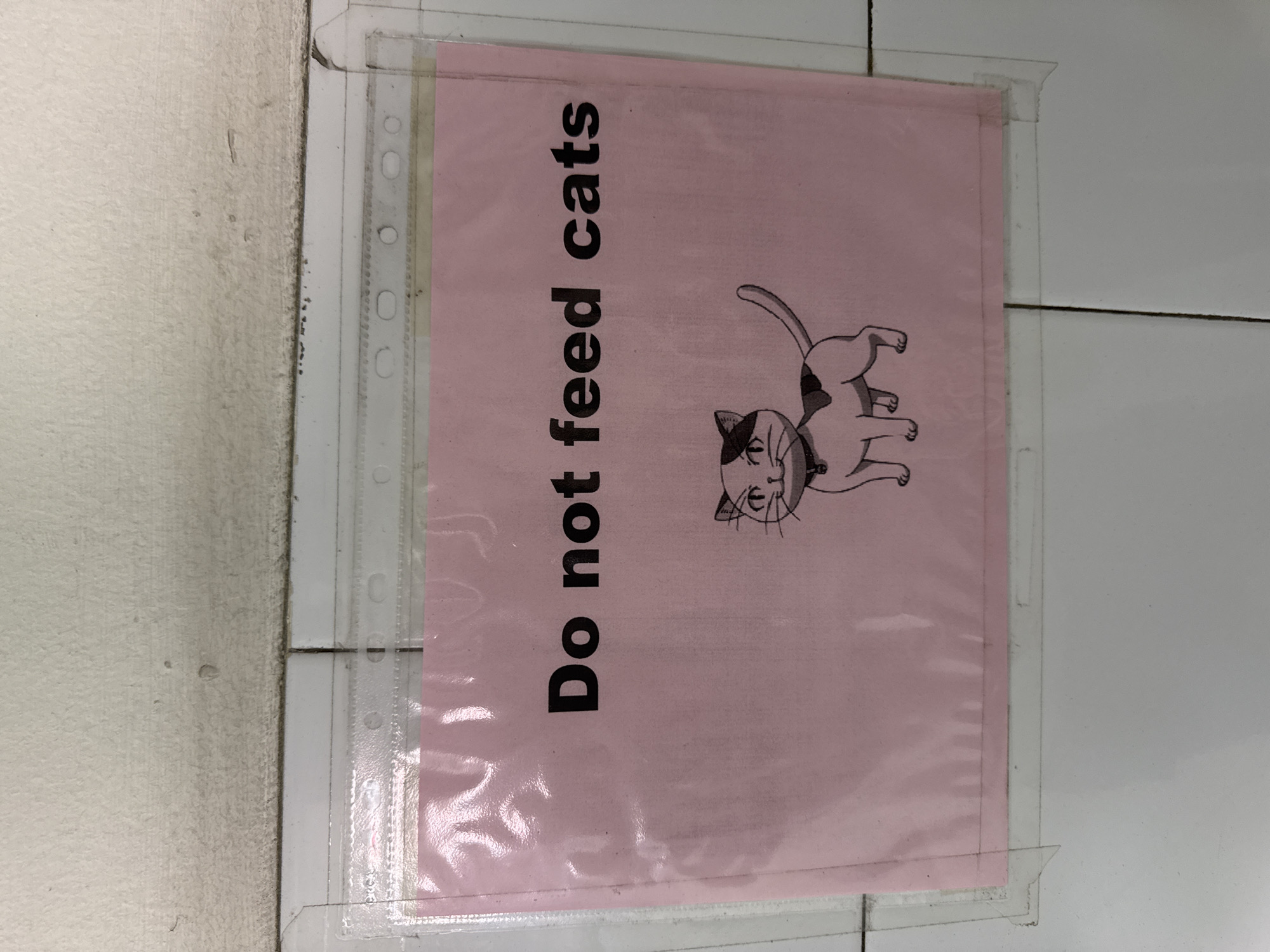 A pink sign displaying "Do not feed cats" with a cartoon drawing of a cat is affixed to a white tiled wall using a clear plastic document protector and tape. The sign is located in Bangkok, Thailand.