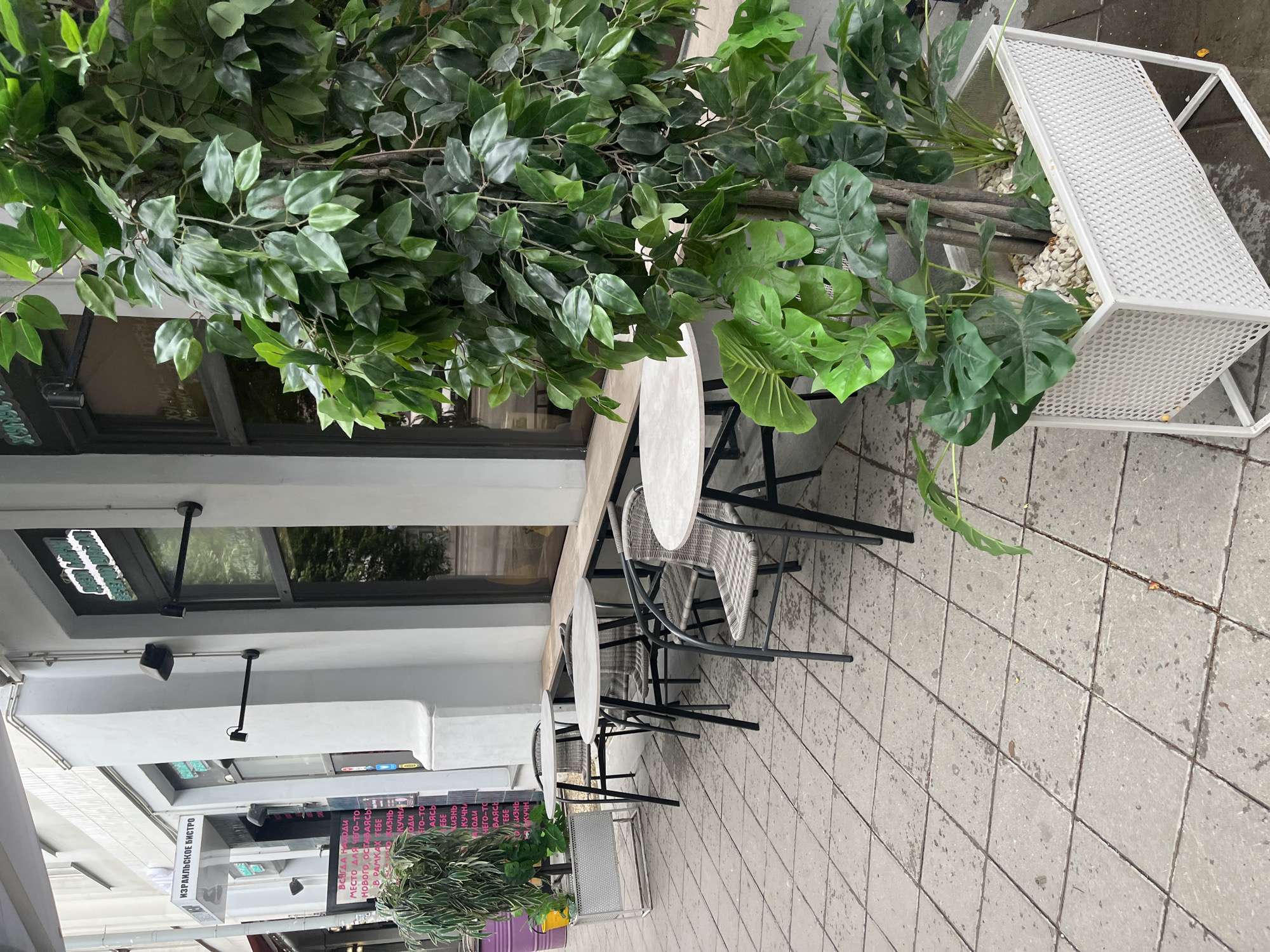 Here is a matter-of-fact description of the image:
The image shows a row of small, round tables and chairs outside a building, likely a restaurant or café. The seating area is partially shaded by a large, leafy plant growing in a white, grid-patterned planter. The building has large windows and signage in a language other than English (likely Russian). The sidewalk is paved with gray, square tiles.