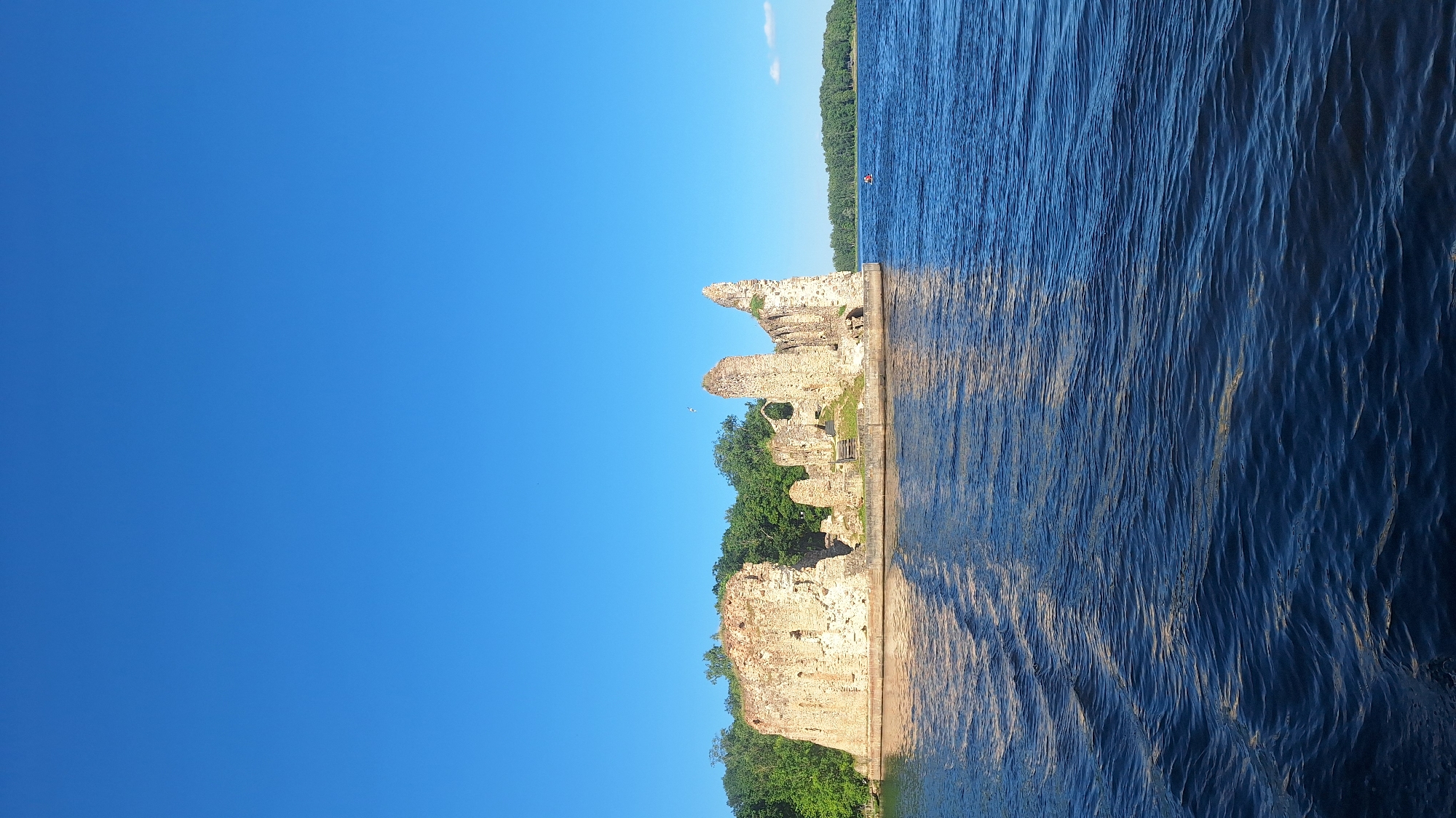 The image shows the ruins of Koknese Castle situated on an island in the Daugava River, Koknese, Latvia. The sky is clear and blue. The castle ruins, made of stone, are weathered and partially crumbled, with several standing walls and arches. Green trees surround the ruins on the island. The Daugava River is a deep blue, with gentle ripples on its surface. The reflection of the sky and the castle is visible on the water. In the distance, across the river, a line of trees forms the far bank. Two small figures, possibly in a red life jacket, are visible in the water to the right of the castle.