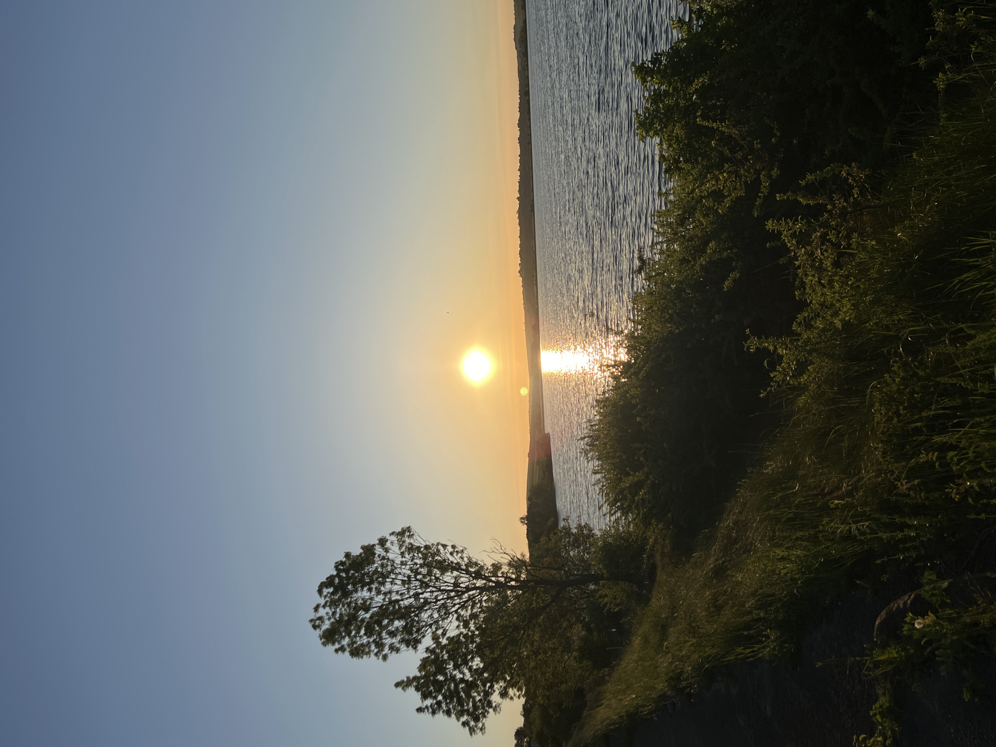 The image depicts a sunset over a body of water. The sun is low on the horizon, casting a bright reflection on the water's surface. The sky is a gradient of colors, ranging from blue to yellow and orange near the horizon. Trees and vegetation line the shore to the right, with a lone tree silhouetted against the sky on the left. The location is unknown, and there is no evidence to suggest that the location is Reniv, Ukraine. There are no people visible in the image.