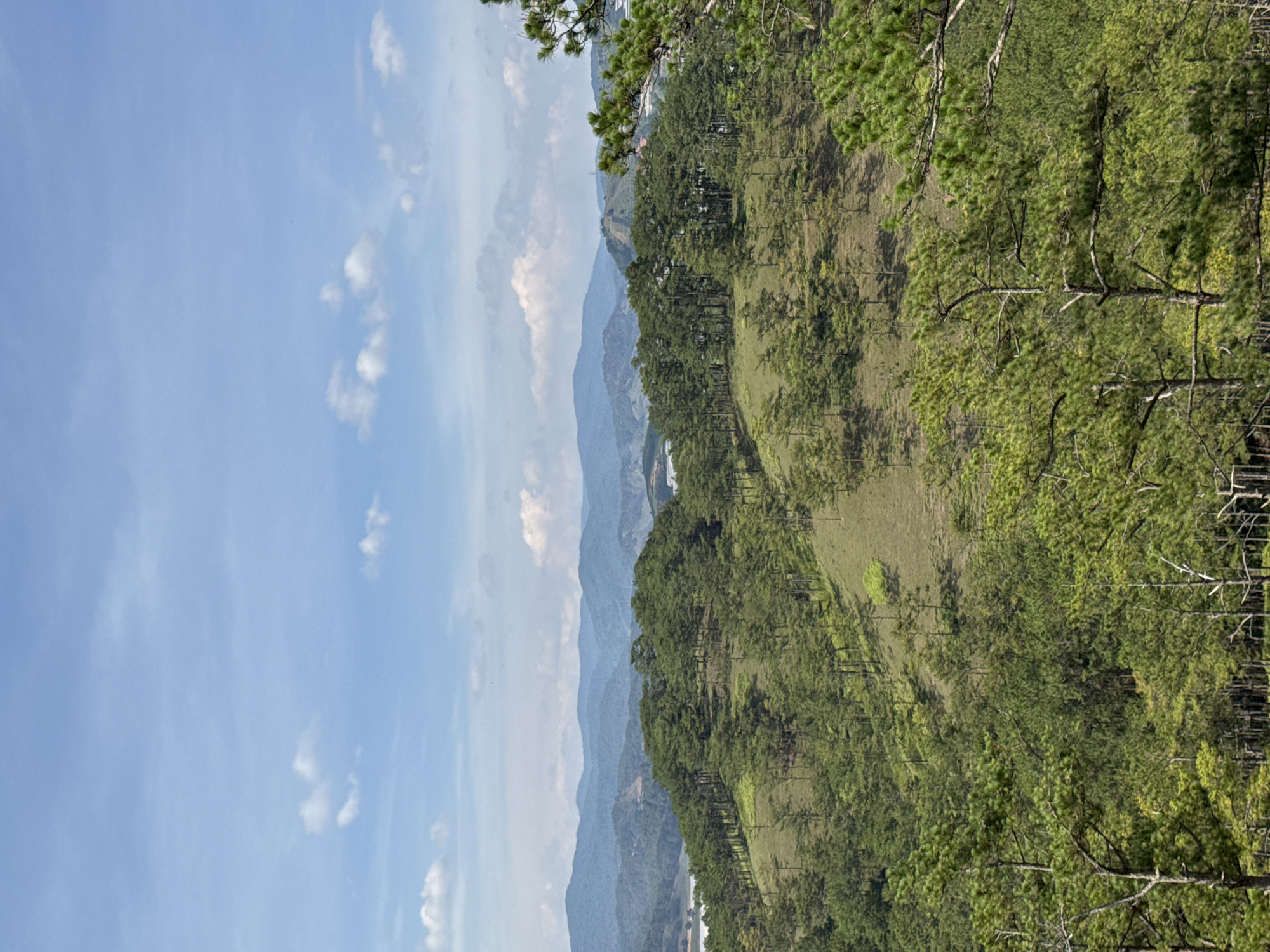 The image depicts a mountainous landscape in Lạc Dương, Vietnam. In the foreground, dense green pine forests cover the slopes. Further in the distance, a series of mountain ranges fade into a hazy blue, with lighter blue sky and scattered white clouds visible. There are no people visible.