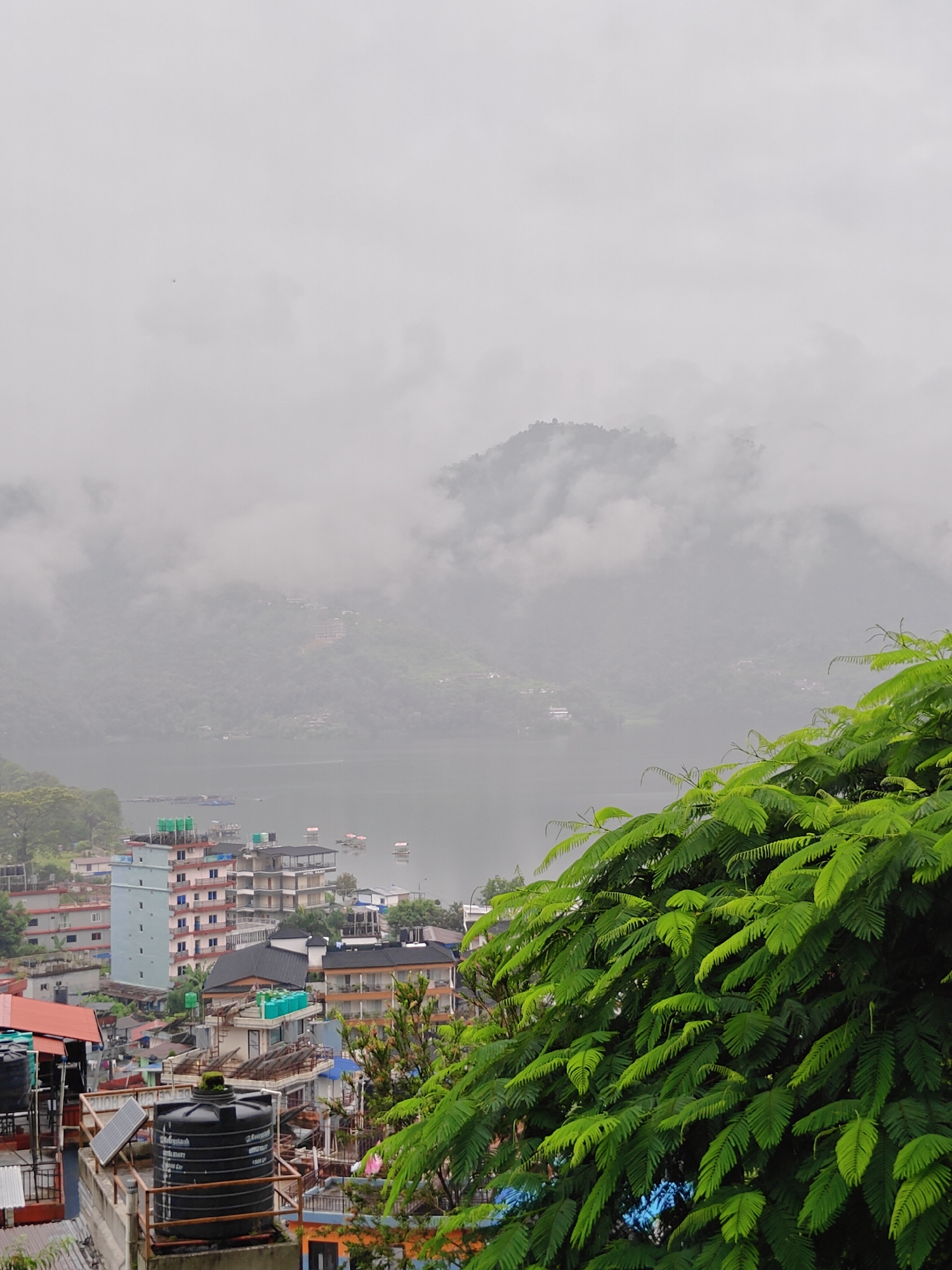 The image captures a high-angle view of a lakeside city, likely Pokhara, Nepal, under a cloudy and misty sky. In the foreground, lush green foliage with fern-like leaves dominates the right side of the frame, obscuring a portion of the cityscape. Below the foliage, a densely built urban area unfolds, featuring a variety of multi-story buildings. Some structures are brightly colored, such as a tall, light blue building with rows of balconies and a pink building with similar features. Other buildings display darker roofs and facades, and some appear to be hotels, as indicated by signs like "HOTEL RAMJI." Numerous rooftop water tanks, including a large black one with visible labels and a solar panel next to it, are prominent on the buildings. In the mid-ground, a wide body of water, presumably Phewa Lake, stretches across the scene, with several small boats or rafts floating on its surface. Across the lake, the misty outlines of lush green hills and mountains rise, partially enveloped by clouds, creating a sense of depth and atmosphere. The overall scene suggests a tranquil, albeit slightly overcast, day in a picturesque urban and natural setting.