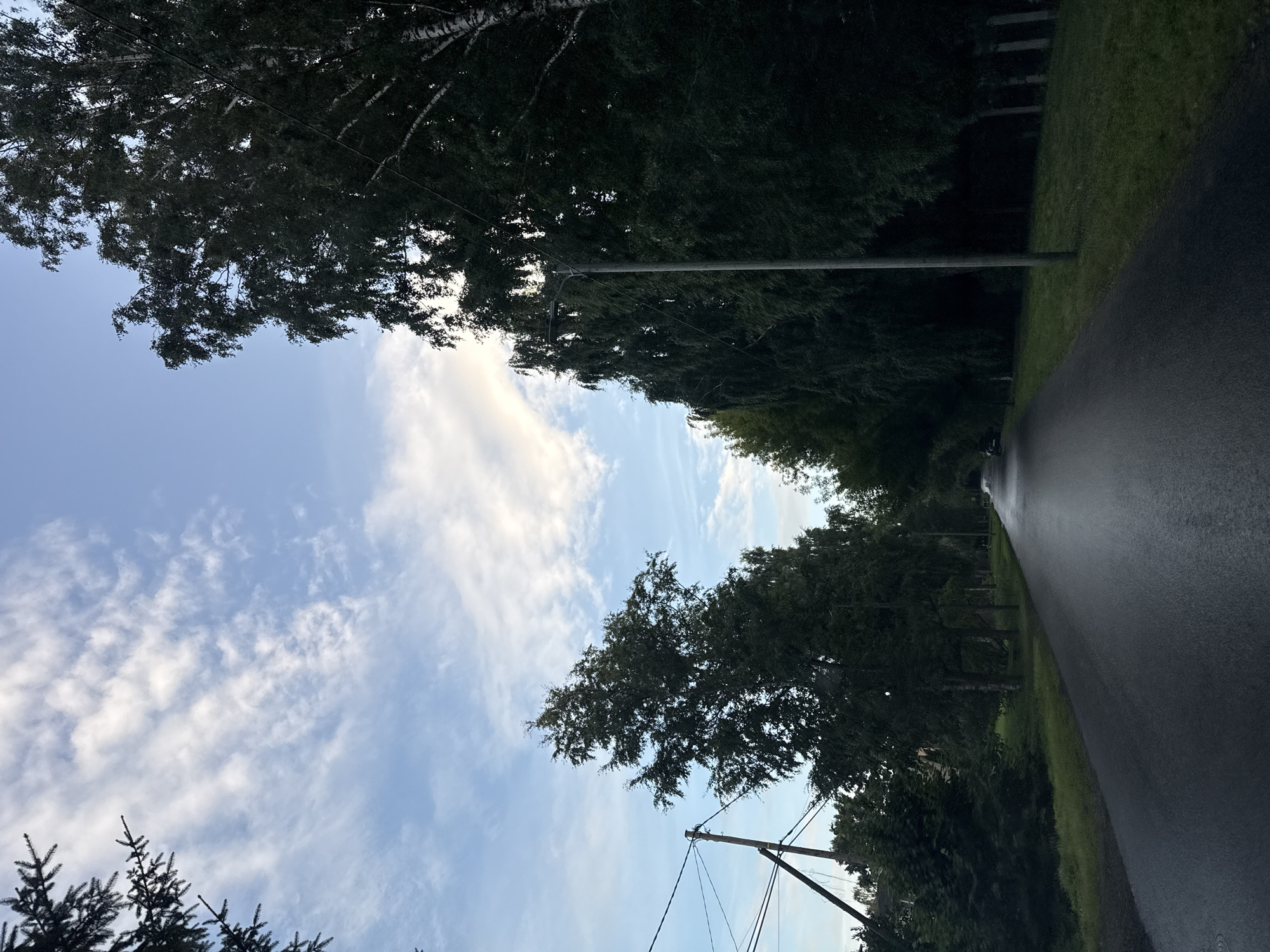 This is a photograph of an empty, wet asphalt road bordered by dense trees on both sides. The sky is partly cloudy with wispy white clouds against a blue background. The scene appears to be in a suburban or semi-rural area, as suggested by the presence of utility poles and wires on the left side of the road. The trees are predominantly deciduous, with a few coniferous trees visible at the edges. The overall mood is serene and quiet, with no people or vehicles present in the frame. The light suggests it is either early morning or late evening. Based on the visual cues, this scene could be located in a park or a residential area within the city of Tallinn, Estonia.