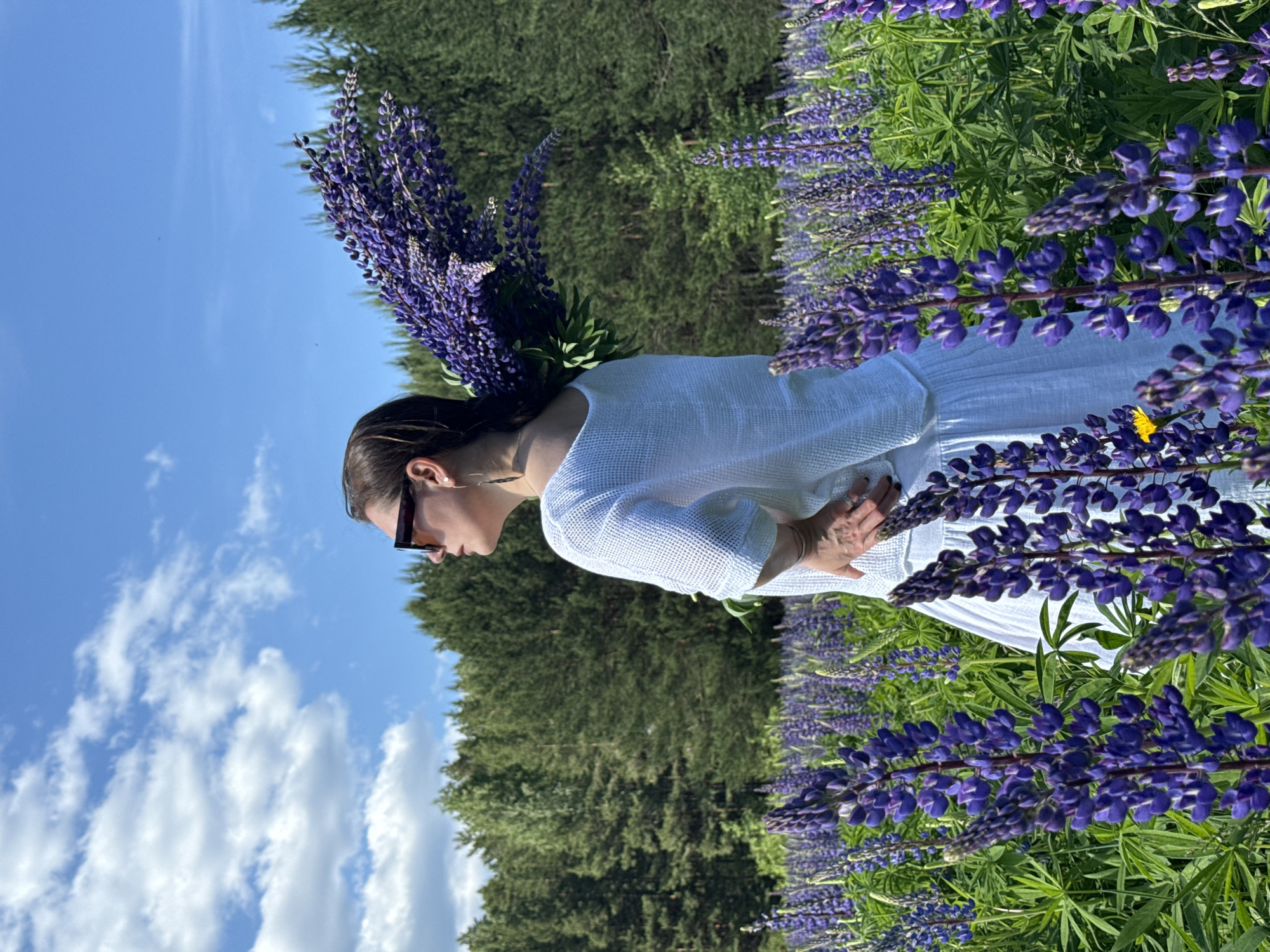 A woman is depicted in a field of purple lupine flowers under a clear blue sky with scattered white clouds, in the city of Chaikovsky, Russia. She is positioned slightly right of center, seen from her right side, looking leftward. Her dark hair is pulled back, and she wears dark-framed sunglasses. A small stud earring is visible in her right ear, and a longer, dark earring hangs from her left ear. She is dressed in a white, loosely knit short-sleeved top and a white skirt. Her right hand is placed on her hip. Over her left shoulder, she holds a large, voluminous bouquet of purple lupine flowers. In the immediate foreground and midground, the field is densely populated with tall, vibrant purple lupines and their distinctive green foliage; a single yellow flower is visible among the lupines in the lower left. A dense line of coniferous trees forms the background, separating the field from the sky. The scene is brightly illuminated by natural light.