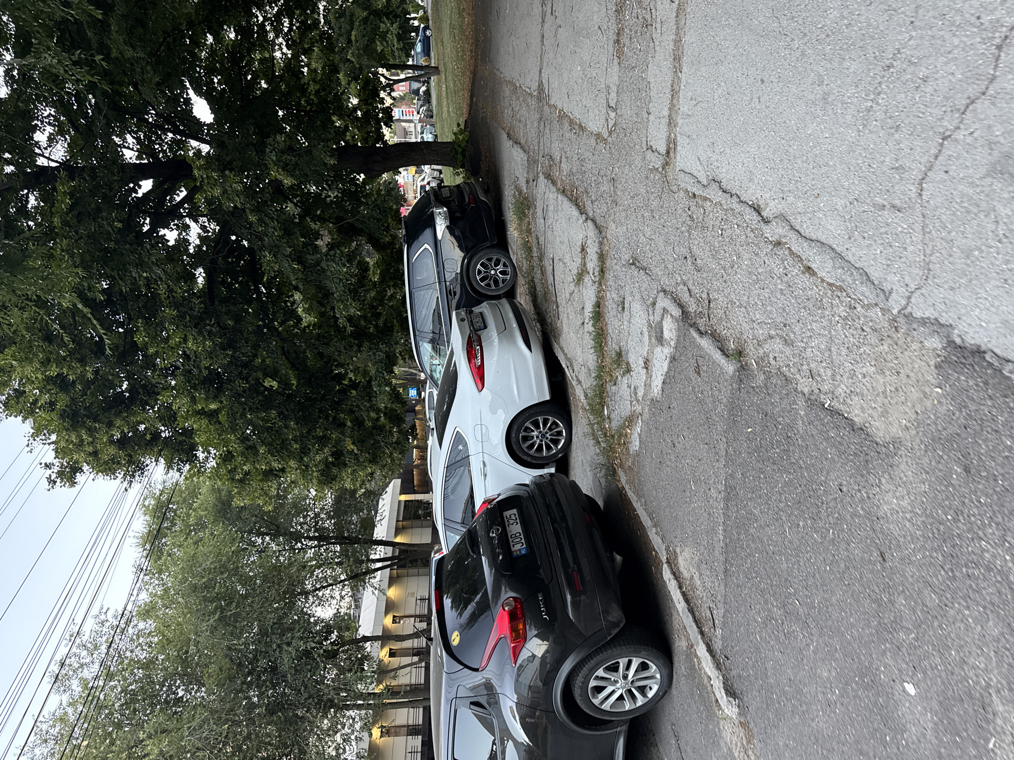 The image shows a row of parked cars on a street in Chișinău, Moldova. In the foreground, a dark gray Nissan Juke is parked to the left, with its rear bumper and license plate visible. The license plate reads "JOB 325". To the right of the Juke, a white sedan, possibly a Ford, is parked. Behind the white sedan is a black SUV, possibly a Mitsubishi Outlander, also parked. The cars are situated on a cracked asphalt parking area adjacent to a sidewalk. A large tree with dense green foliage is prominent on the right side of the image, casting shadows. In the background, a building with illuminated windows and a white facade can be seen. Power lines are visible across the sky. The overall environment suggests an urban setting during daylight.