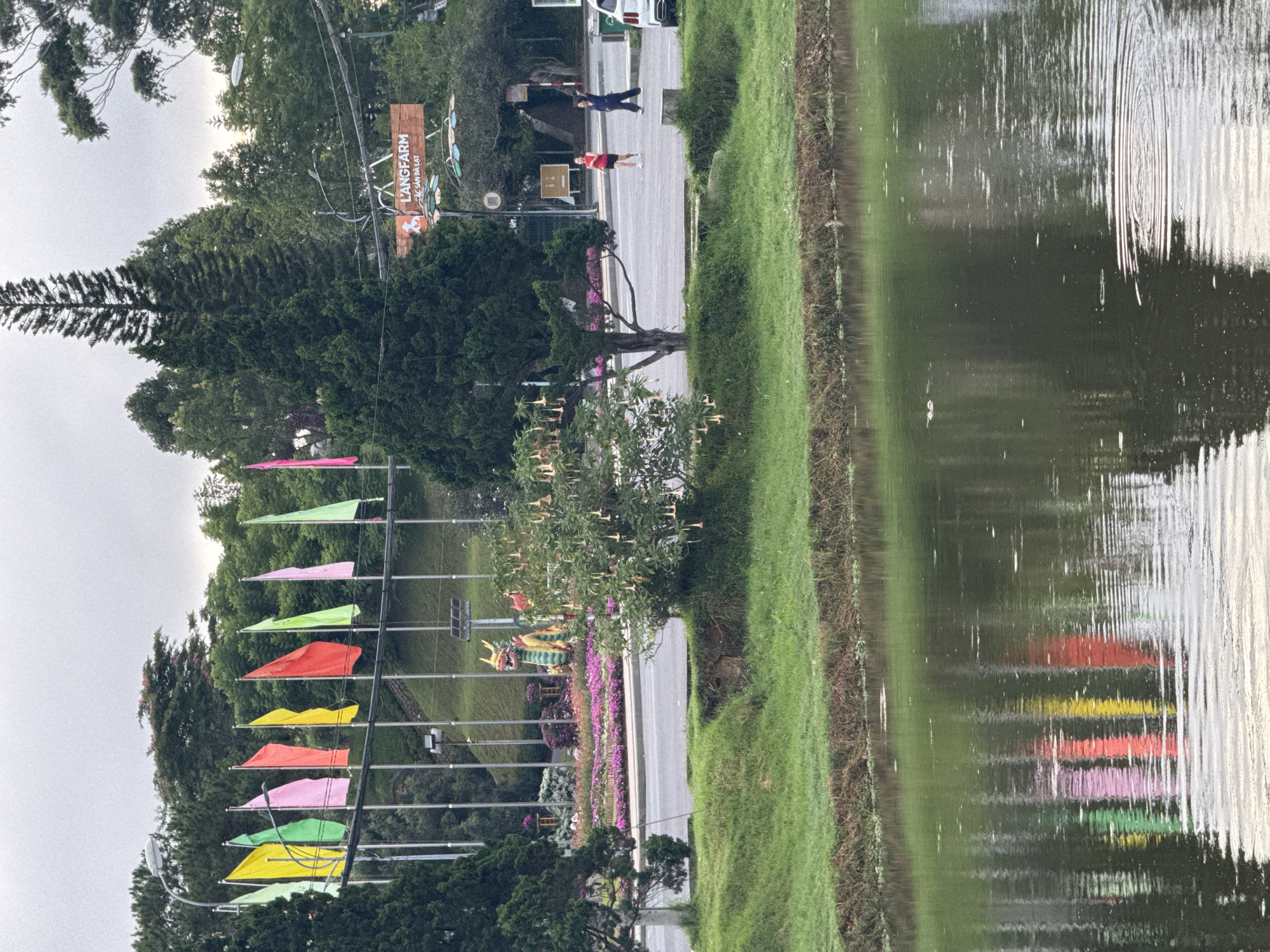 In Xuan Huong Lake, Da Lat, Vietnam, a scenic view unfolds with vibrant flags lined up on poles, their reflections shimmering on the calm water. A dragon statue stands proudly amidst colorful flowers, a testament to local culture. People are seen jogging on the road beside the lake, embracing the outdoors. A prominent "Langfarm" sign indicates a local business, contributing to the area's charm. The lush greenery and overcast sky create a serene atmosphere, capturing the essence of Da Lat's natural beauty.