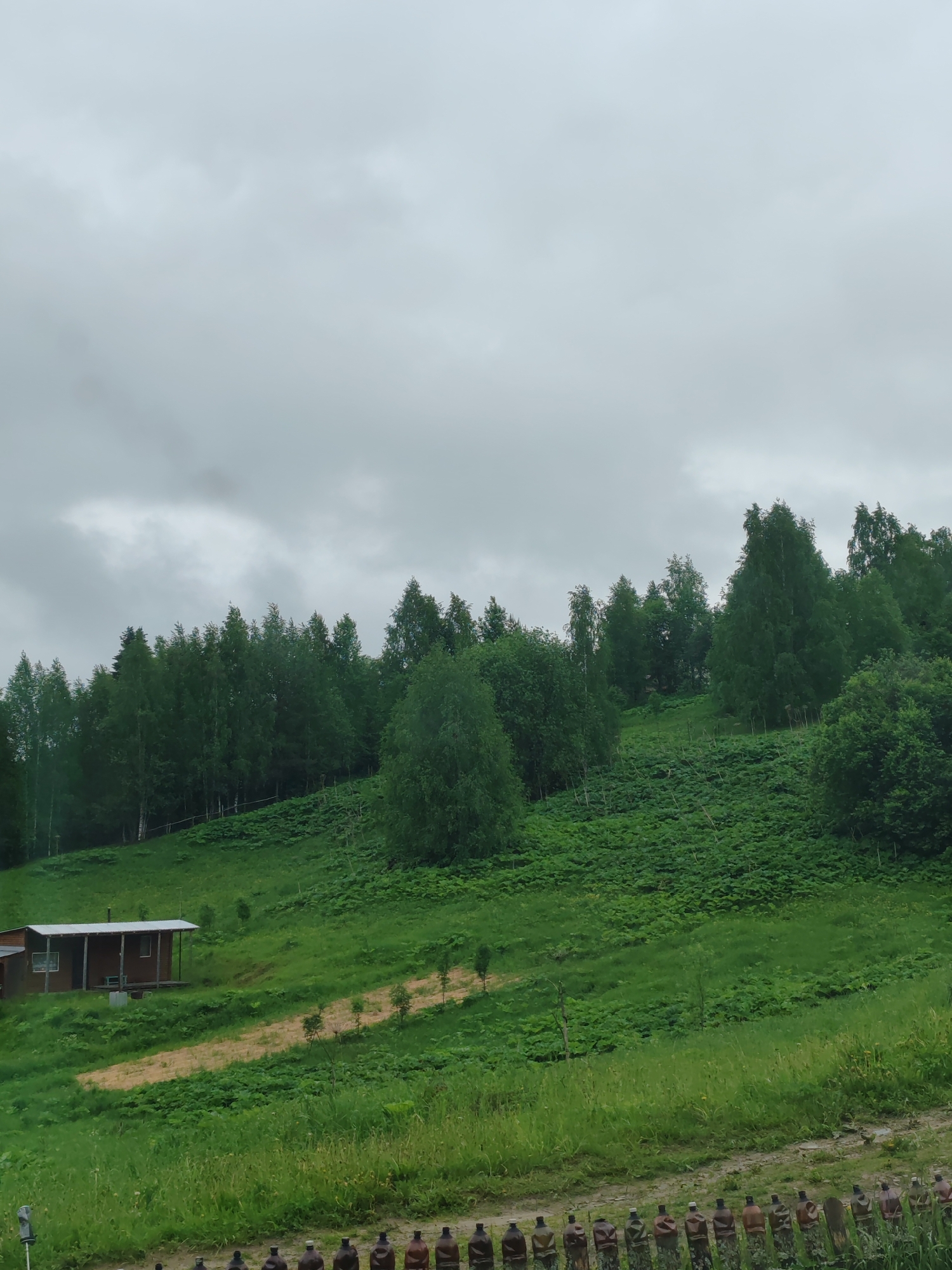 The image depicts a rural scene in what could be the vicinity of Чухлэм, Russia. A small, wooden house with a grey roof is located on a green hillside. The hillside is covered with various greenery, including what appears to be a dense growth of plants and trees towards the top. The sky is overcast and grey. In the foreground, a weathered wooden fence-like structure lines the bottom of the frame. A patch of bare earth is near the house. No people are visible in the scene.