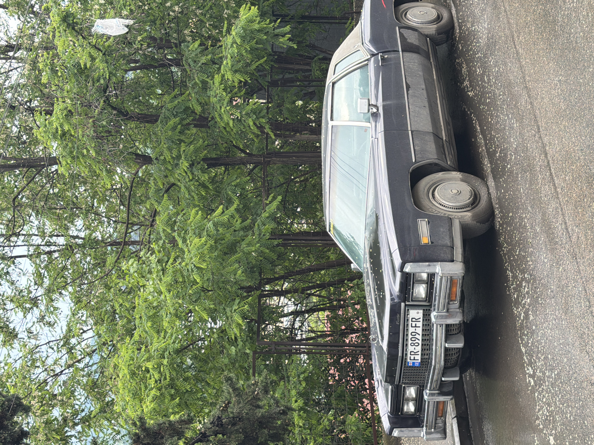 A dark-colored, classic Cadillac car is parked on a wet asphalt street in Tbilisi, Georgia. The car's license plate is visible: FR-899-FR. The vehicle is situated near a green, leafy tree line, with a few trees behind a metal fence. A plastic bag is caught in the tree branches above. The sky is overcast.