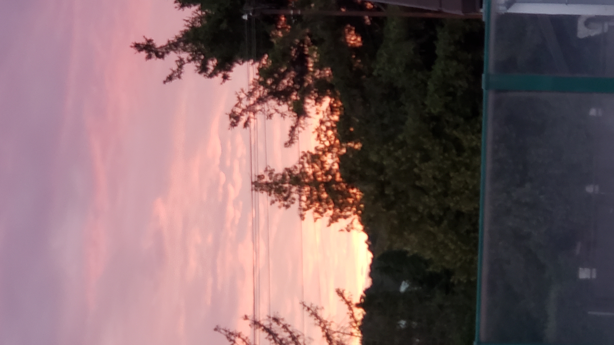 The image shows a sky with soft pink and purple clouds, likely during sunset or sunrise. Silhouetted against the sky are several evergreen trees and deciduous trees, with power lines running horizontally in the middle ground. The foreground is dominated by a dark, out-of-focus fence and some shadowy structures. The scene appears to be an outdoor setting, possibly a park or a backyard, given the presence of the fence. There are no people or animals visible in the image. Based on the visual cues, this scene could be anywhere with trees and a clear view of the sky during twilight. Without further information or identifying landmarks, it is not possible to definitively place this image in the city of Prešov, Slovakia.