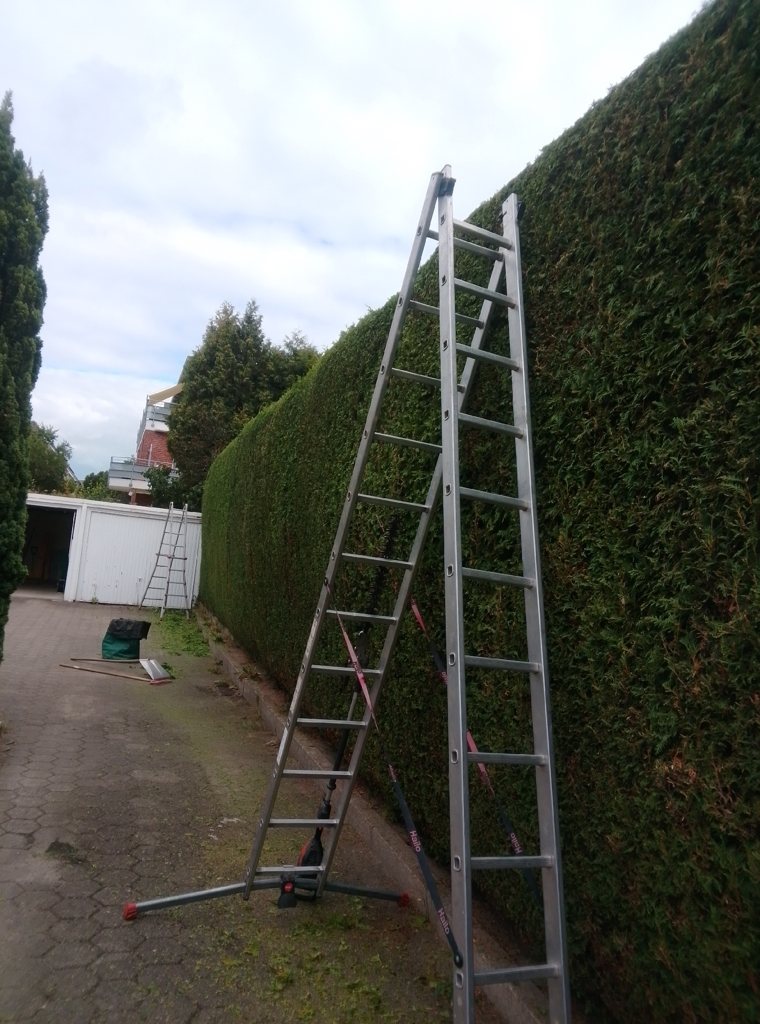 The image depicts a residential backyard in Wedel, Germany, with a focus on a tall, manicured hedge. Two aluminum ladders are positioned against the hedge, suggesting recent or ongoing maintenance work. The larger ladder, a multi-section extension ladder, is prominently placed in the foreground, angled towards the hedge and equipped with stabilizing legs. A smaller, step ladder is visible further down the hedge, leaning against it.
The ground is paved with interlocking concrete blocks, a common material for patios and walkways in Germany. Scattered across the paving are clippings from the hedge, indicating that trimming has been taking place. A green refuse sack, likely used to collect the trimmings, sits near the base of the larger ladder. Adjacent to the refuse sack, a metal shovel and a rake are resting on the ground, tools that would be used for cleanup.
In the background, a white garage with an open door is visible. Beyond the garage and the hedge, a multi-story brick building with balconies can be seen, suggesting the property is part of a residential area. The sky is overcast, with a few patches of blue visible. The overall impression is one of a well-maintained property undergoing garden upkeep.