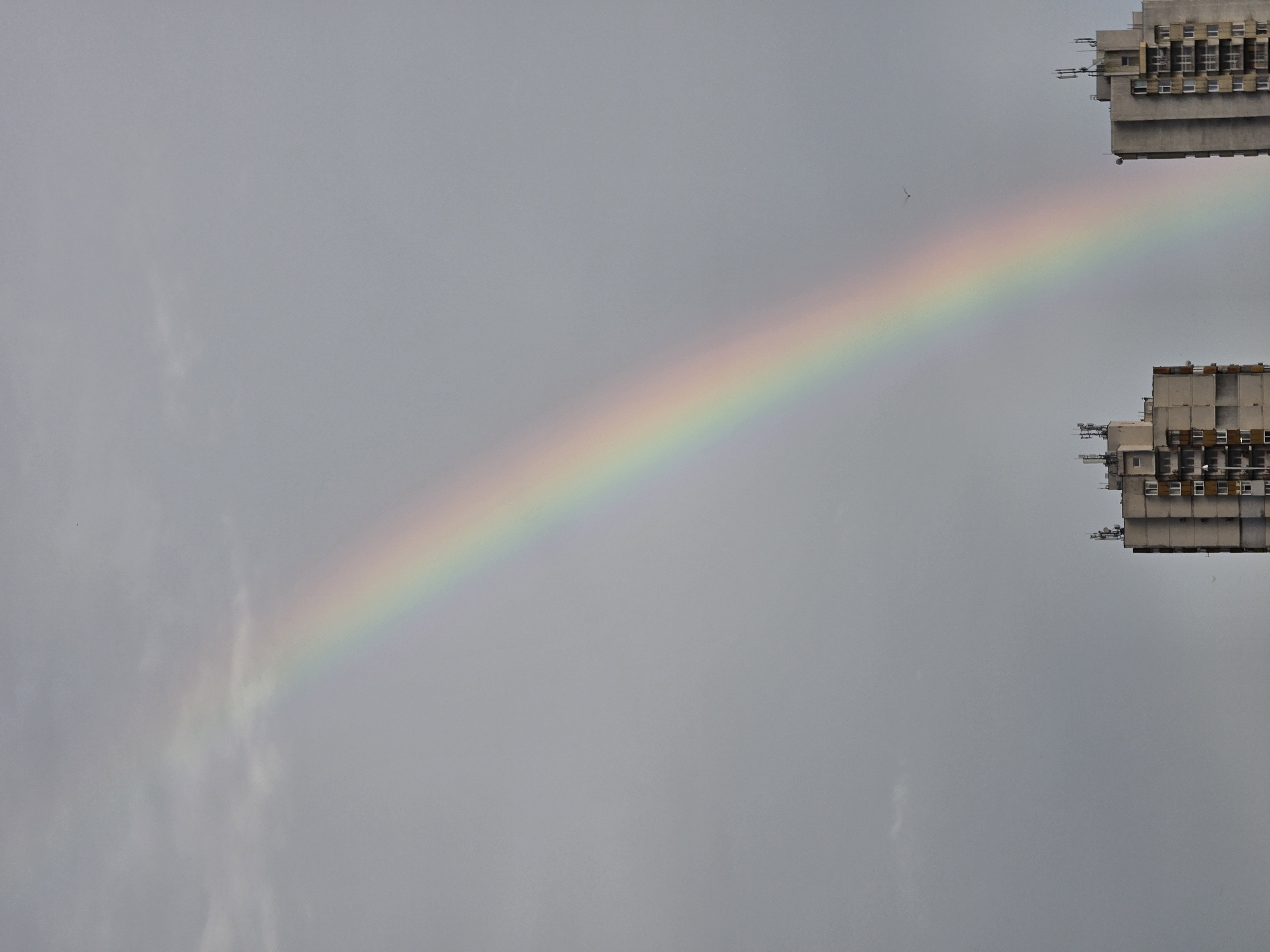 The image shows a rainbow between two buildings in Burgas, Bulgaria, with an overcast sky. The buildings appear to be high-rise residential structures with a repetitive window pattern. A bird is visible in the sky between the rainbow and the upper building. The bottom edge of the rainbow fades into a patch of clouds.
