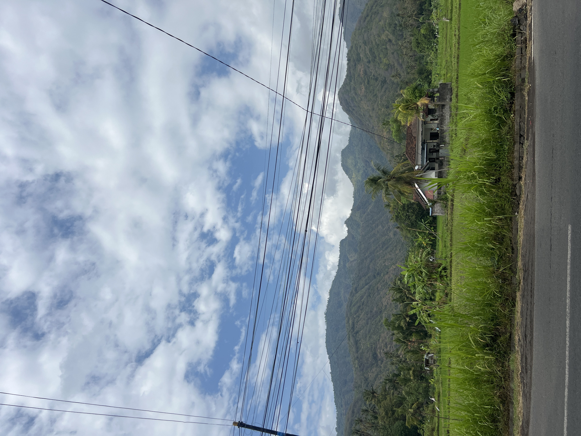 This image shows a rural landscape in the city of Abang, Indonesia. In the foreground, there is a paved road with a white line marking the lane. Behind the road, a vibrant green field of tall grass borders a rice paddy. In the middle ground, a modest house with a tiled roof sits amidst the rice paddy, flanked by palm trees. Several scarecrows are scattered throughout the field. In the background, lush green mountains rise, their slopes covered in vegetation. The sky above is a mix of blue and white clouds. Overhead, a complex network of power lines stretches across the frame, supported by a utility pole on the left side of the image. No people are visible in the scene.