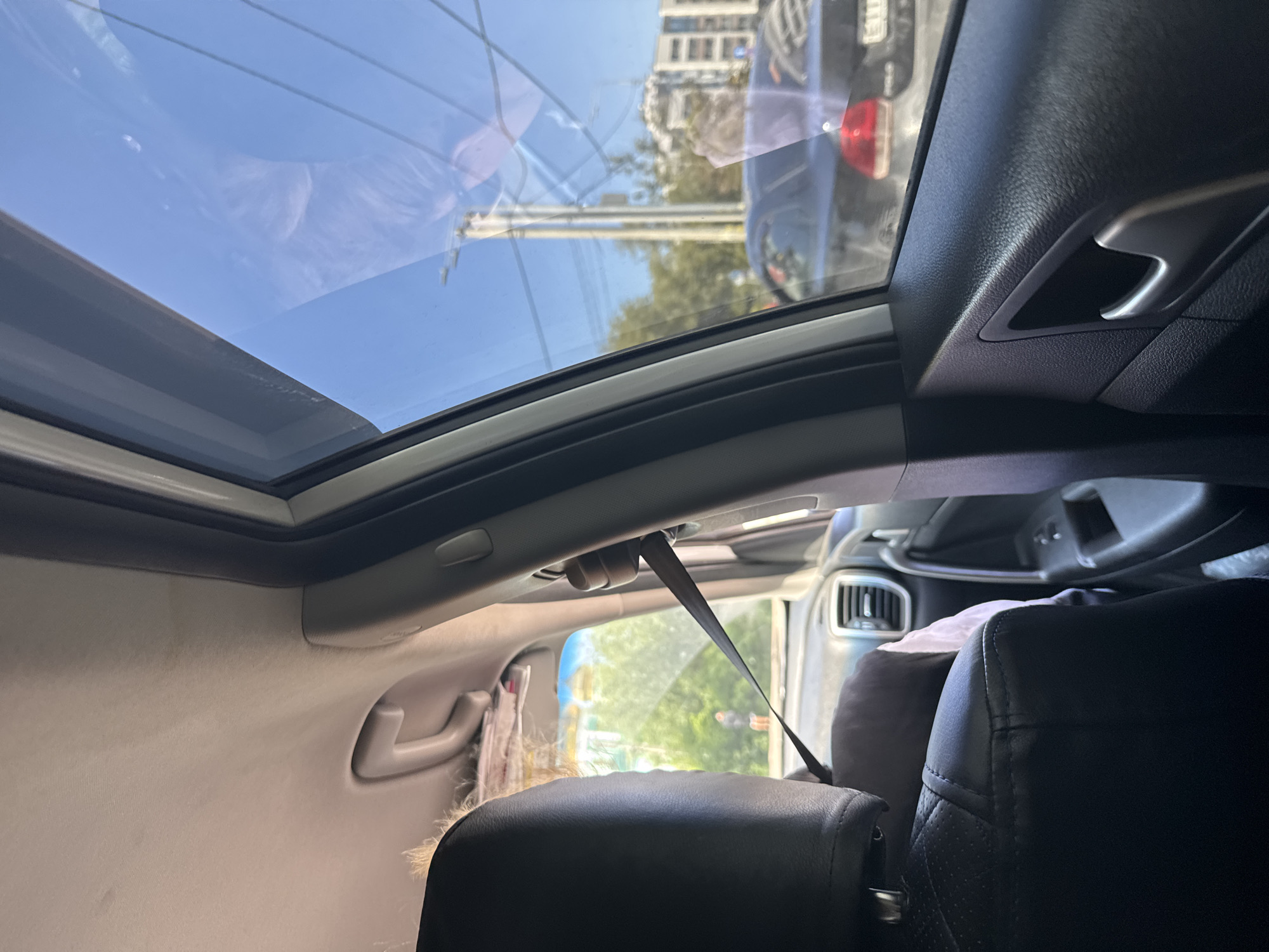 The image is taken from the interior of a car, looking out the side window. The foreground shows the back of a black leather car seat and the interior door panel. A seatbelt is visible diagonally across the frame. Through the window, a clear blue sky is visible, with some reflections on the glass. Outside the car, trees, buildings, and other vehicles can be seen. A traffic light and utility poles are also present. The scene appears to be in a city, likely during the daytime.
