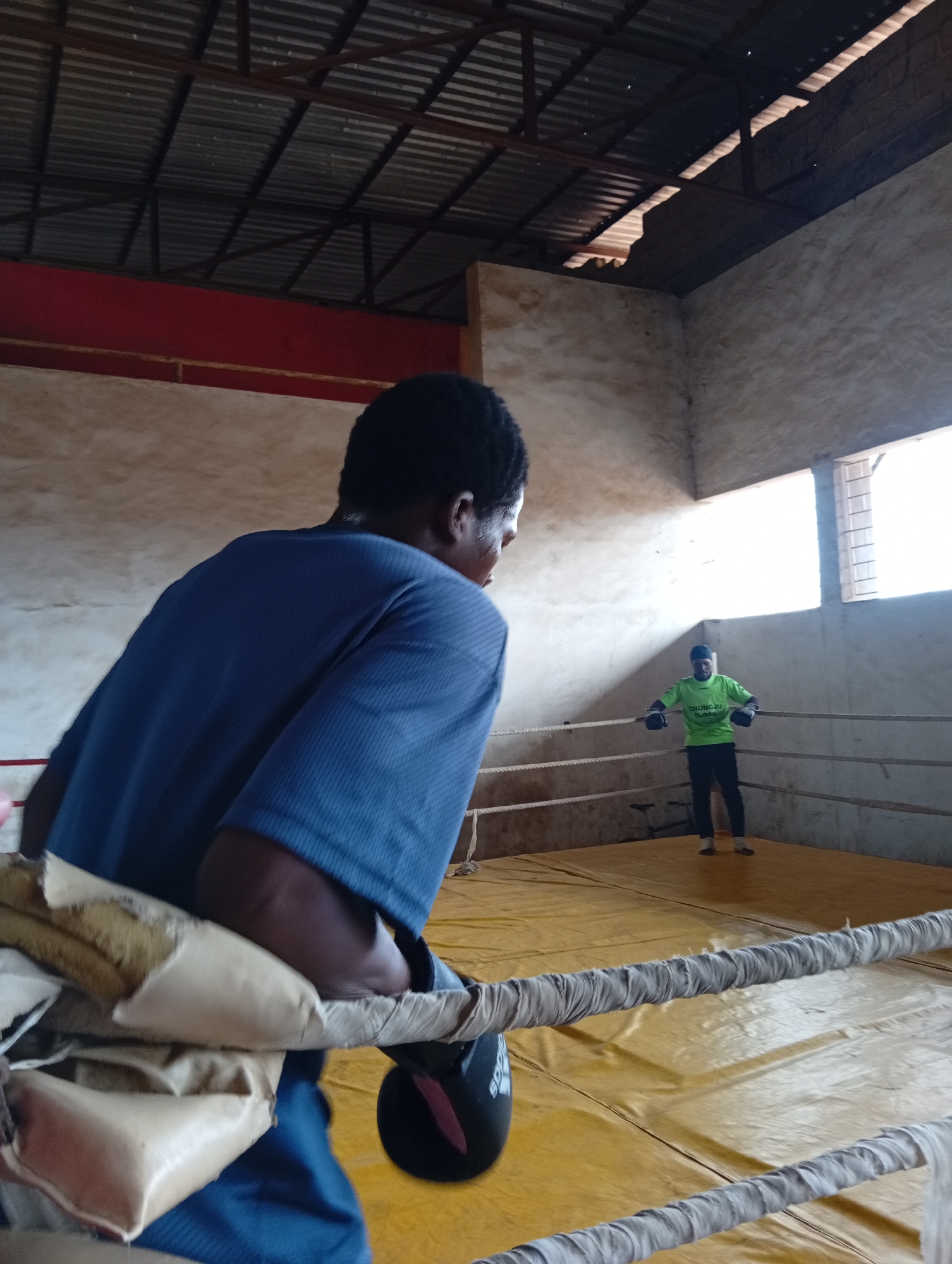 In a boxing ring, two individuals are present. The person in the foreground, facing away from the camera, wears a blue t-shirt and is partially obscured by the boxing ring's ropes. Another individual, wearing a bright green t-shirt and black gloves, stands in the opposite corner of the ring. The ring itself has a yellow mat and three ropes. The environment appears to be an indoor facility with a corrugated metal roof and concrete walls. Natural light enters from a window on the right side of the frame.