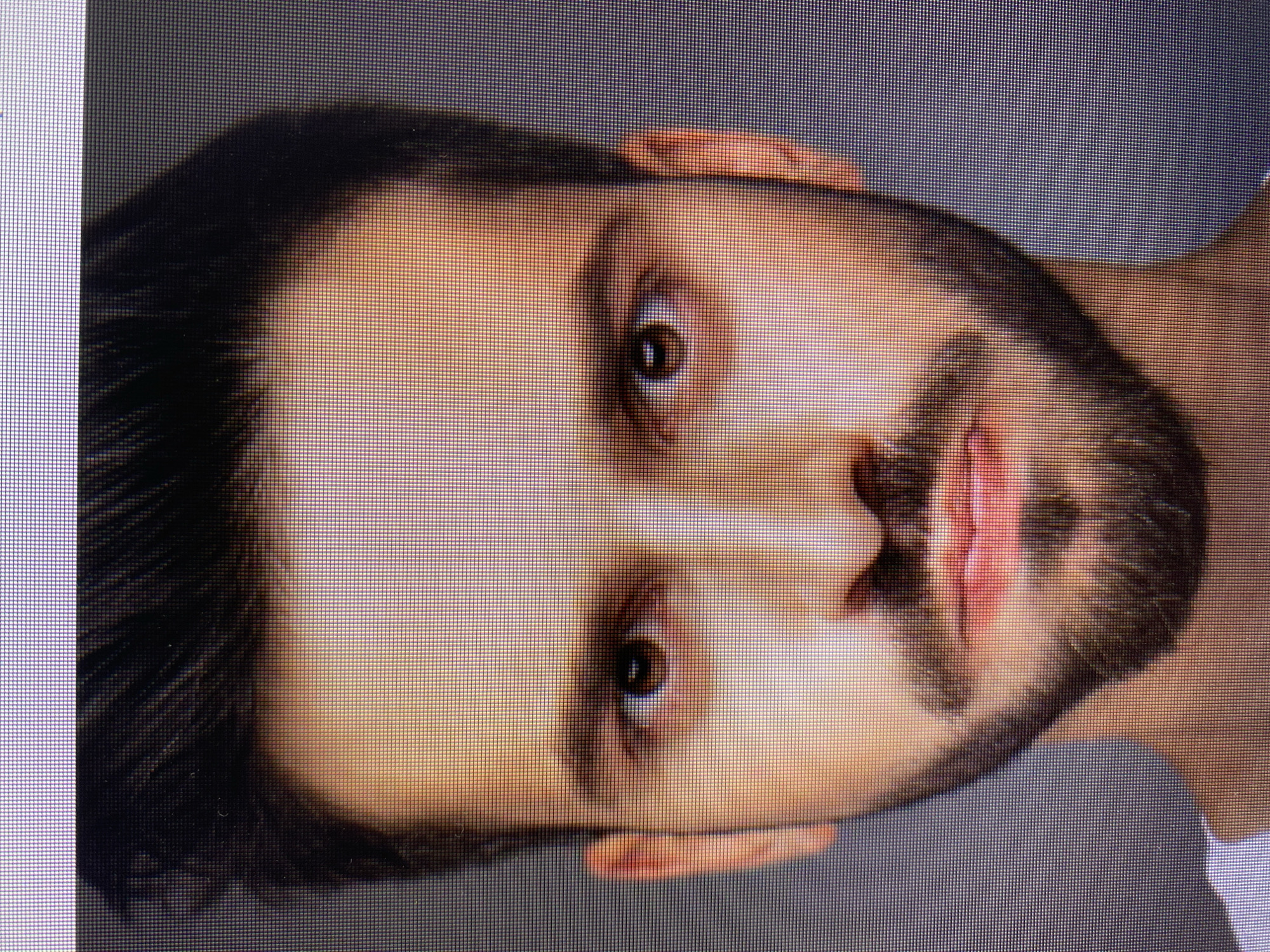 This media file is a close-up, pixelated, digitized image of a man's face, presented in a portrait orientation, but the image itself is rotated 90 degrees clockwise, so the face appears sideways. The man has dark hair styled with volume, a prominent beard, and a mustache. His eyes are open and looking directly at the viewer, with visible irises and pupils. His lips are slightly parted, revealing a hint of teeth, and appear to have a reddish tint, possibly from lipstick or natural coloring. His skin tone is light to medium. The background is a solid, neutral gray, suggesting a studio or controlled environment. The image is highly pixelated, indicating it was likely captured from a screen or a low-resolution source. There are no discernible cues about the time of day, weather, or specific location beyond the provided context of Yerevan, Armenia. The man's expression is neutral or perhaps slightly inquisitive. No text is visible in the image.