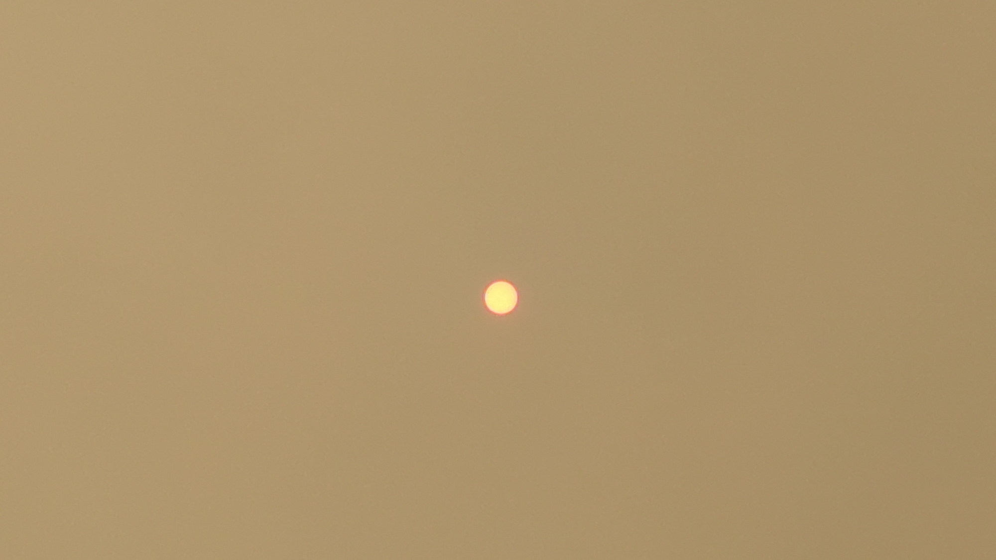 The image is a vertical, full-frame shot of a hazy, overcast sky with the sun visible as a small, round, yellow-orange disc in the center. The sky has a uniform, light tan to beige color, suggesting heavy atmospheric particulate matter, such as smoke from wildfires. There are no discernible landmarks or environmental features to indicate a specific location within Montreal, Canada. The scene is devoid of people, objects, or any specific actions.