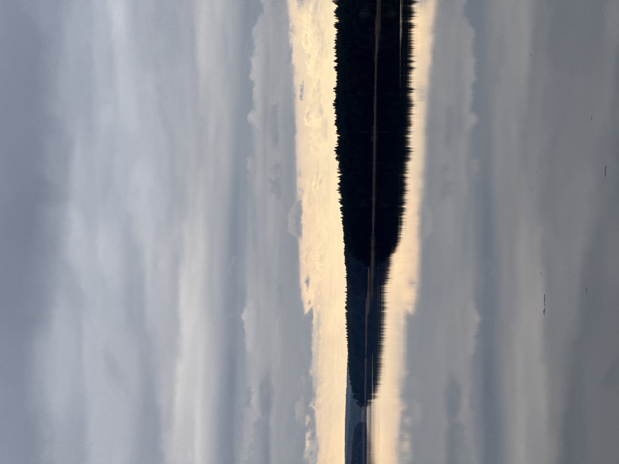 A tranquil natural landscape featuring a broad body of water, a distant treeline, and a cloudy sky is depicted. No people, animals, or specific man-made objects are visible, and no particular activity or event is taking place.
The scene showcases a serene moment in nature, likely captured during early morning or late afternoon given the soft, diffused light. A dense, dark forest or treeline stretches horizontally across the horizon, forming a stark silhouette against the sky. Above the treeline, the sky is covered with a mix of light grey and white clouds. A striking vertical band of bright, yellowish-white light pierces through the clouds and extends downwards, suggesting either the sun's rays breaking through or a strong reflection of light.
Below the treeline, a calm body of water, possibly a large lake or reservoir, perfectly mirrors the sky and the distant forest. The bright vertical band of light is clearly reflected in the water, as is the dark silhouette of the trees, though the reflections are subtly softened by gentle ripples on the water's surface. The overall atmosphere is one of profound peace and natural beauty. The location context suggests this scene is found near Votkinsk, Russia. There is no visible text in the image.