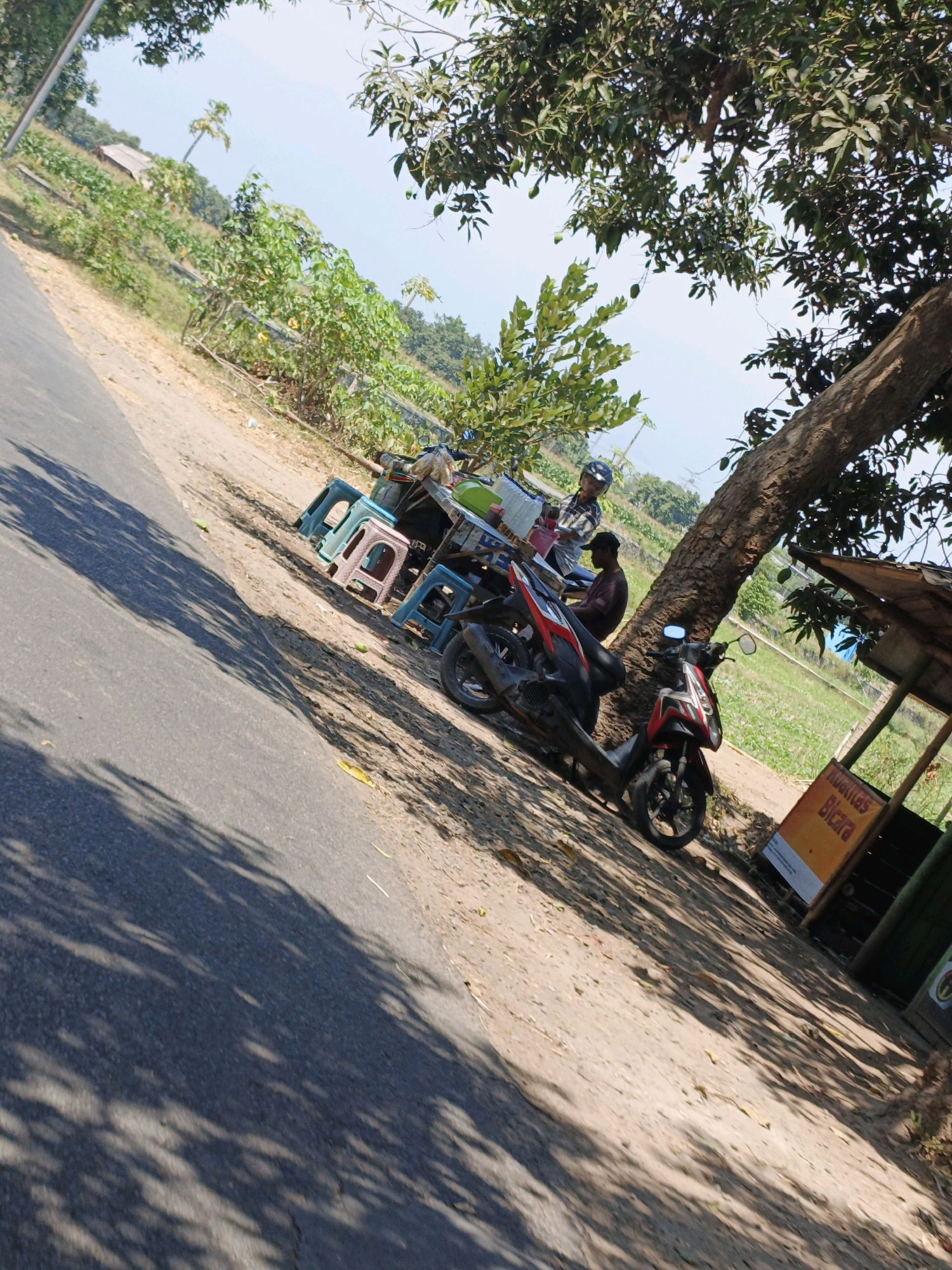 In Panggih, Indonesia, a roadside scene unfolds under a large tree. Two men are present, one wearing a helmet and a plaid shirt, and another in a maroon shirt. They appear to be at a small roadside stall, suggested by the presence of plastic stools, a table with items on it, and a makeshift roof. Two motorcycles are parked nearby, one red and black, the other red and black with white accents. The environment is rural, with a dirt road, vegetation, and fields visible in the background under a bright sky. A sign with orange and black lettering, possibly advertising, is leaning against the stall. The image is taken from a slightly elevated, angled perspective.