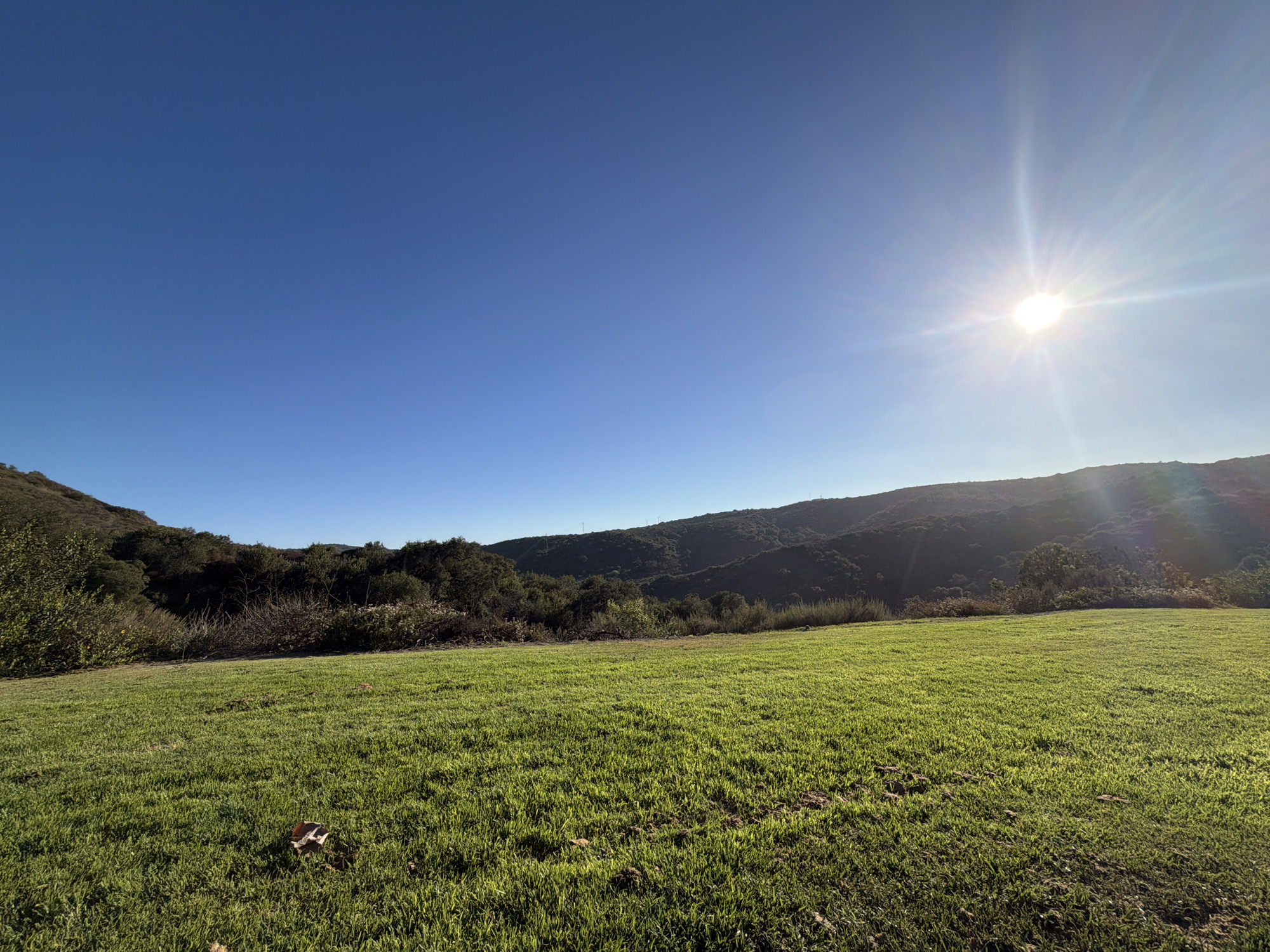 A wide, low-angle shot captures a sun-drenched grassy field with rolling hills and trees in the background under a clear blue sky. The sun, positioned in the upper right quadrant, casts bright rays, creating a lens flare effect. The foreground is dominated by a verdant, well-maintained lawn, with a few fallen leaves scattered on its surface. Beyond the field, a dense line of dark green trees and shrubs borders the base of the hills. The hills themselves are covered in a mix of vegetation, appearing darker due to shadow and distance, with faint outlines of distant structures or utilities visible on their crest. The overall scene is one of natural beauty and tranquility.