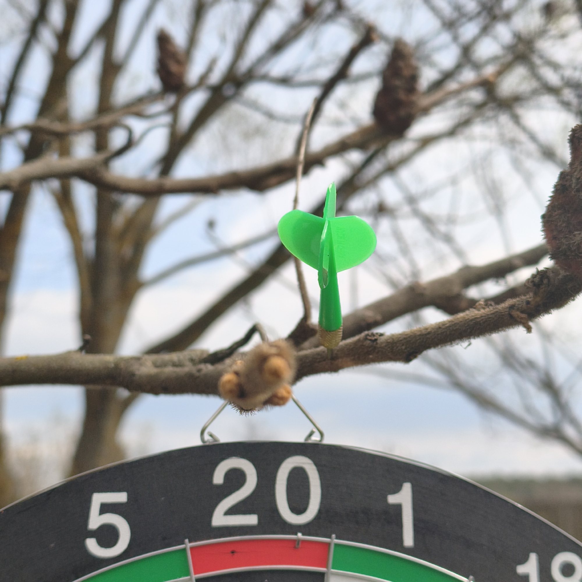 A green dart is lodged in a branch above a dartboard. The dartboard displays the numbers 5, 20, and 1, along with red and green sections. The branch, part of a tree with brown pods, is in focus. The background includes a blurry sky and other branches. The setting appears to be outdoors, with the presence of natural elements like trees and the sky. The image lacks people, actions, or interactions.