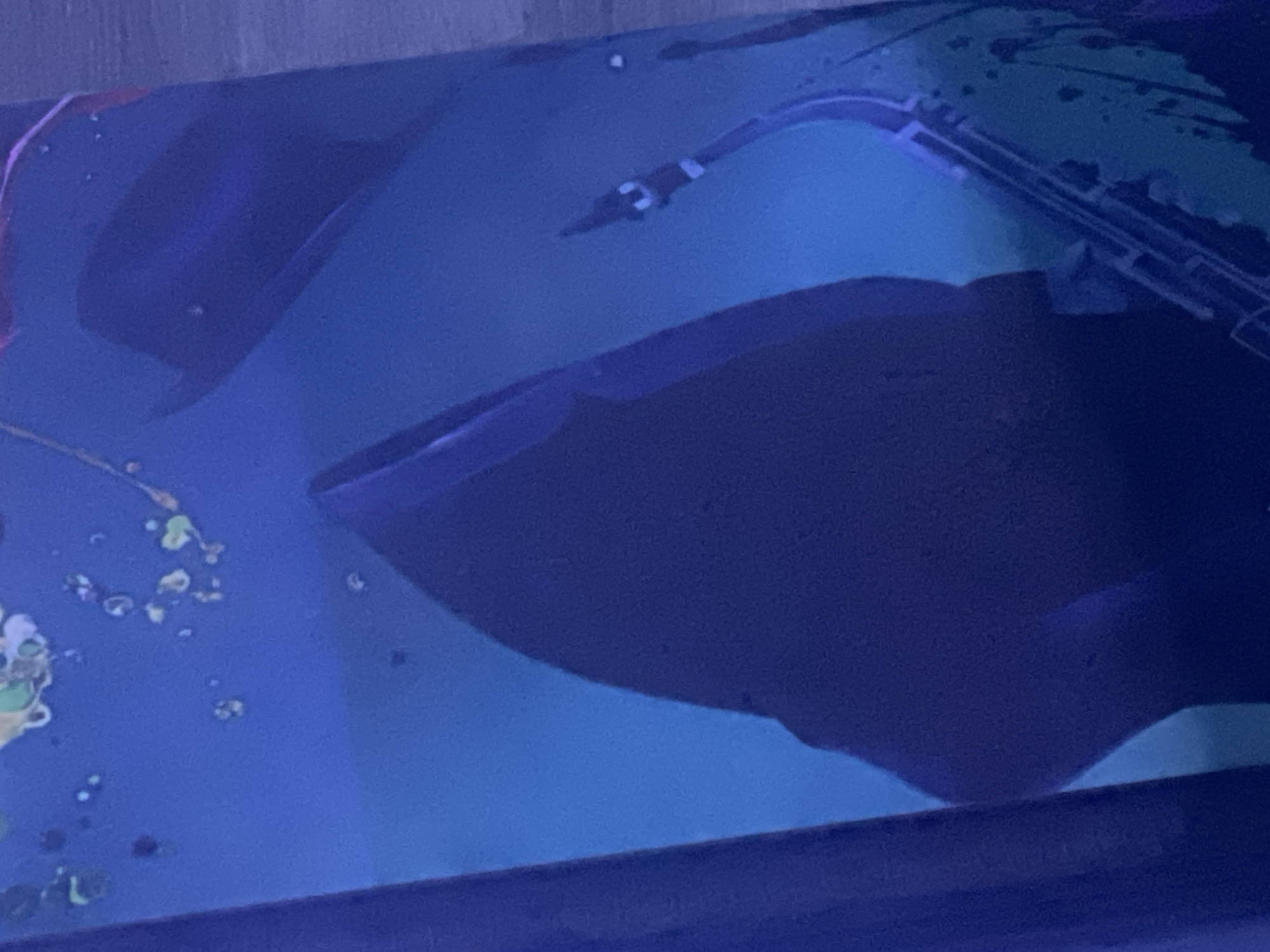The image shows a low-angle view of a blue surface, possibly water or a reflective material. There are dark, indistinct shapes in the foreground and background, suggesting objects or features partially submerged or casting shadows. On the right side, a linear structure with some small components is visible, potentially a piece of equipment or machinery. The overall environment appears dimly lit and somewhat blurred.
This image contains insufficient information to determine a location in Abuja, Nigeria. There are no visible landmarks, recognizable environmental indicators, or contextual clues that could link the scene to that city.