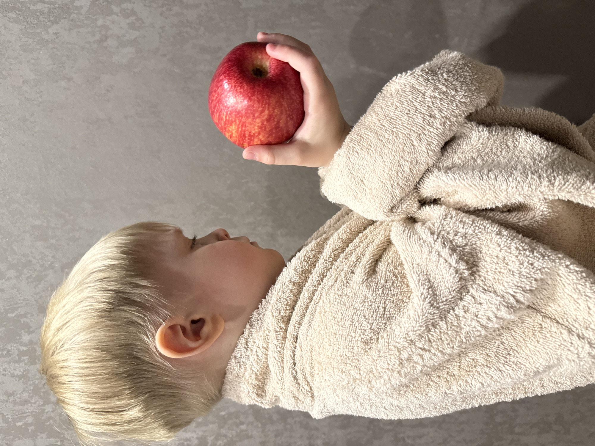 A young child, likely a toddler or preschooler, is depicted against a simple, light gray textured background in an indoor setting. The child, with short, neat blonde hair and fair skin, is shown from the chest up, facing left in profile. They are wearing a cream or beige terrycloth bathrobe, its soft, plush texture visible in the folds around their neck and shoulders.
The child's right arm is raised, and they are holding a prominent red and yellow apple in their hand. The apple exhibits a typical round shape with a mix of red blush and yellow undertones, and subtle speckles on its skin. The child's small fingers gently cup the fruit. Their gaze is directed towards the apple or slightly upward, suggesting contemplation or curiosity, with a neutral and calm expression.
Soft, natural daylight illuminates the scene, casting gentle shadows that define the contours of the child's face and the texture of the bathrobe. The background offers no specific details beyond its consistent gray hue and subtle texture, indicating a plain wall or surface. There is no visible text in the image. The scene is set in Chaikovsky, Russia.
