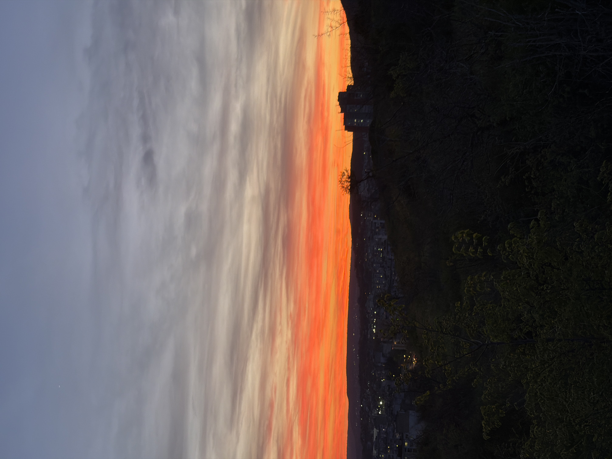 The image captures a panoramic view of a vibrant sunset or dusk scene over a city, likely Varna, Bulgaria, as observed from an elevated position. The sky is the dominant feature, displaying a spectacular horizontal gradient of colors. On the left, the sky transitions from a soft blue-grey, gradually brightening into luminous whites and yellows, and then intensely vivid oranges and reds towards the horizon line. Streaky, elongated clouds catch the last rays of the sun, enhancing the dramatic color palette.
Below the colorful horizon lies the silhouette of a city or town. Buildings are rendered as dark shapes against the bright sky, with numerous scattered lights beginning to twinkle across the urban landscape, indicating the approaching night. A few larger buildings are discernible, some with visible illuminated windows.
In the foreground, particularly on the right side, the dark, intricate silhouettes of trees and foliage are prominent, framing the scene. Their branches and leaves are steeped in shadow, creating a strong contrast with the brightly lit sky. The overall impression is one of serene beauty, capturing the peaceful transition from day to night over an urban setting. There is no visible text in the image.