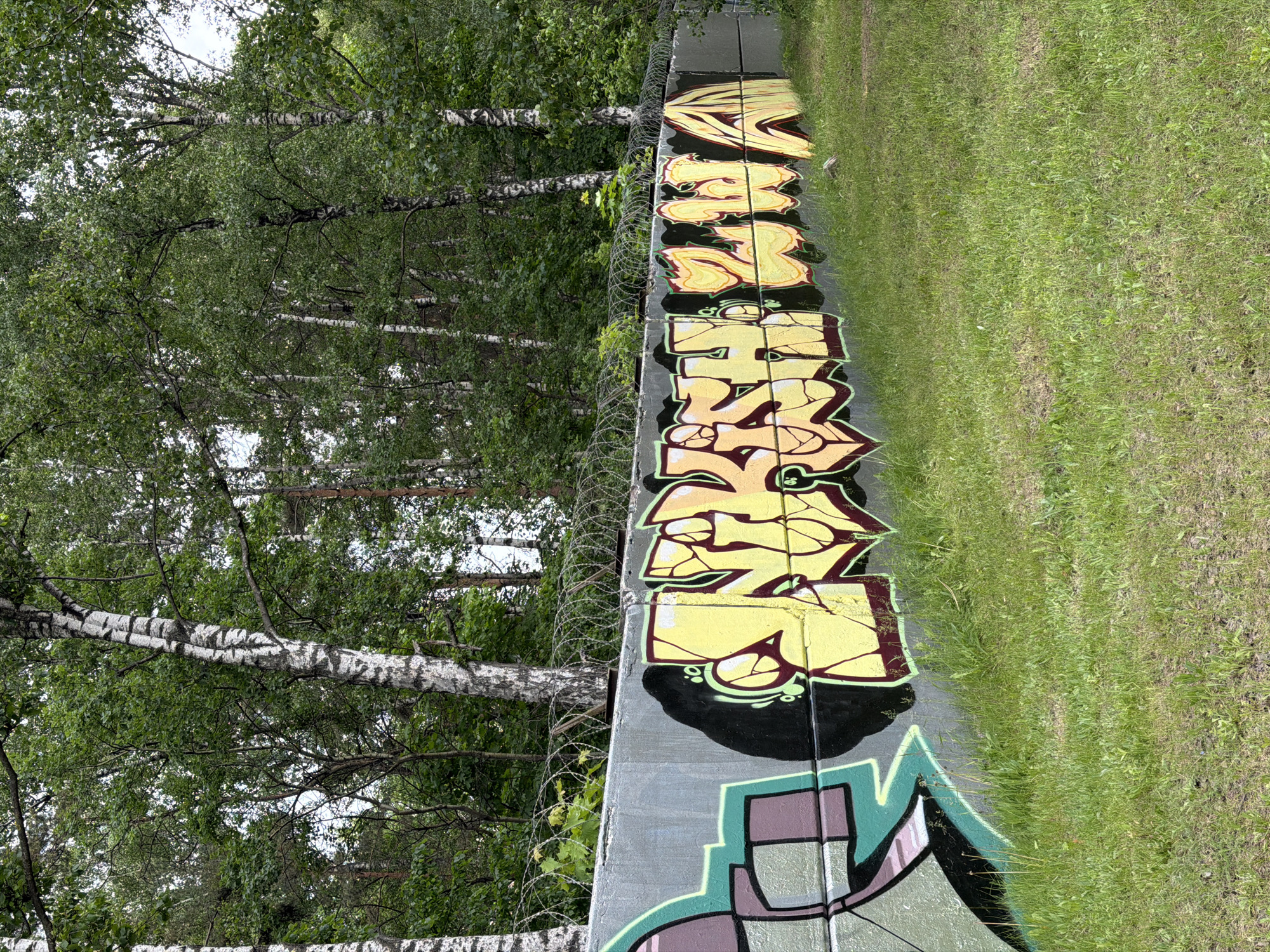 A photograph captures a grey concrete structure with graffiti extending vertically across the image, with barbed wire running along its top edge. The graffiti art primarily features yellow lettering with dark outlines, set against the grey background of the structure. Adjacent to the structure is a grassy area, and beyond that, a dense collection of trees with white bark, suggesting a birch forest. The location is Moscow, Russia.