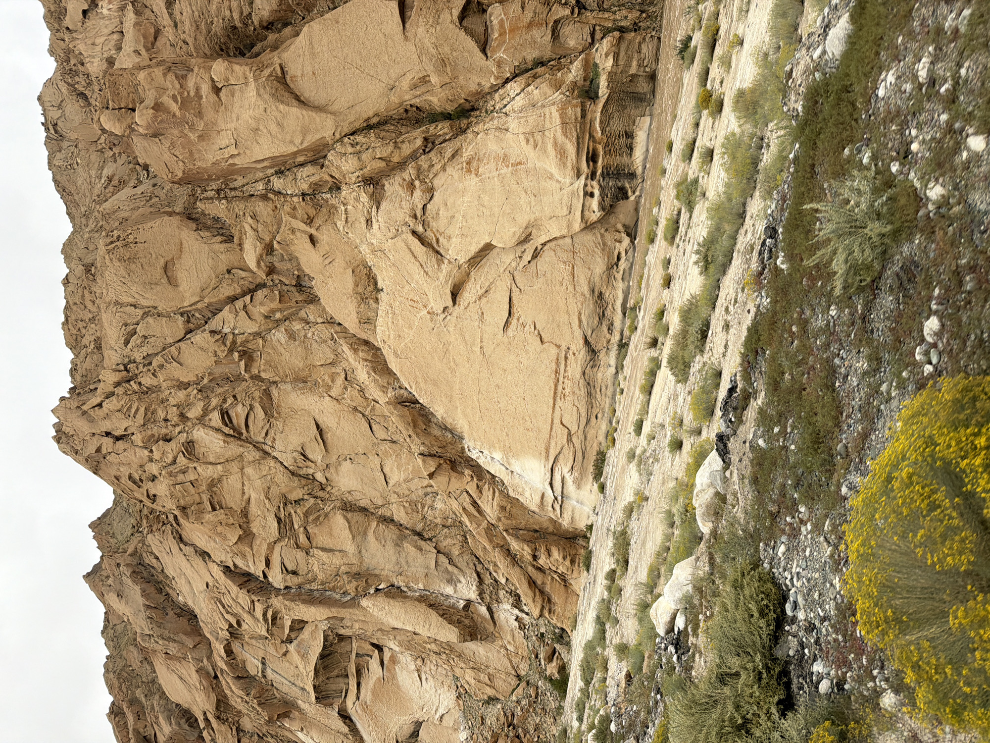 This is an eye-level, vertical shot of a massive, textured tan rock face with a cloudy sky overhead. The rock face is deeply fissured and weathered, showing layers and distinct rock formations. In the foreground, a sparsely vegetated, rocky slope with low-lying green and yellow brush leads up to the base of the cliff. The image does not show any people, actions, or interactions. The location is specified as Likche, India, suggesting a mountainous, arid environment.