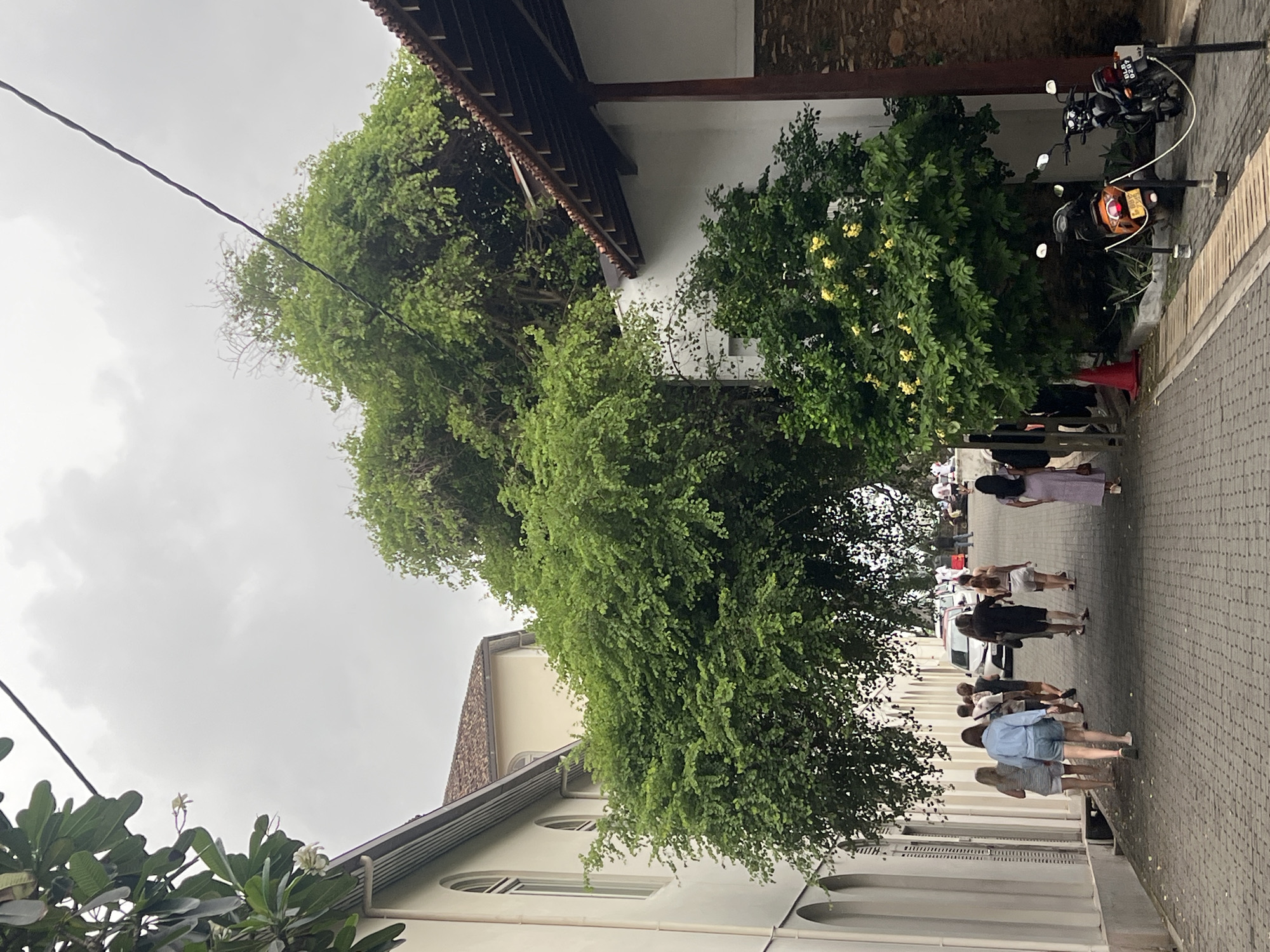 The image depicts a street scene in Galle, Sri Lanka, characterized by historic colonial architecture and lush vegetation. A cobblestone pathway lines the right side of the image, leading uphill and narrowing into the distance. On the left, a cream-colored colonial building with arched windows and a tiled roof is visible. Trees with dense green foliage overhang the street, creating a canopy. Several people, appearing to be tourists, are walking up the street in various directions. On the right side of the path, two motorcycles are parked, one orange and one black. The sky is overcast, suggesting a cloudy day. The overall atmosphere is serene, with a blend of architectural heritage and natural elements typical of Galle's historic Fort area.