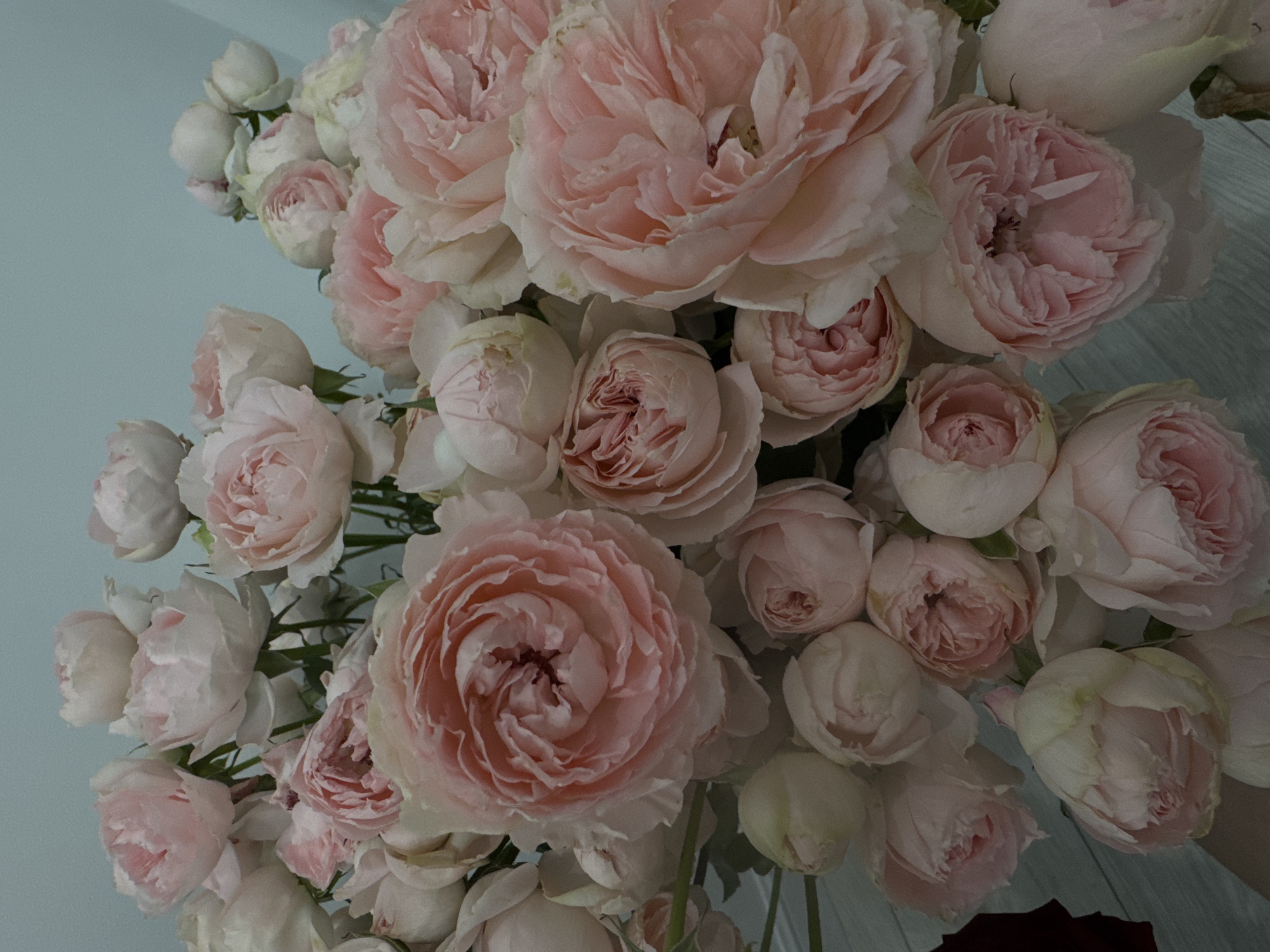 A close-up, vertical shot features a large bouquet of light pink and white roses. The roses are in various stages of bloom, with some fully open and others still budding. They are densely packed together, with only hints of green stems and leaves visible. The background is a muted, light blue wall, and the bottom of the image shows a light-colored wooden surface, possibly a table or floor. There are no people visible in the image, nor any indication of the city of Oral, Kazakhstan. The lighting is soft, creating gentle shadows and highlighting the delicate texture of the rose petals.