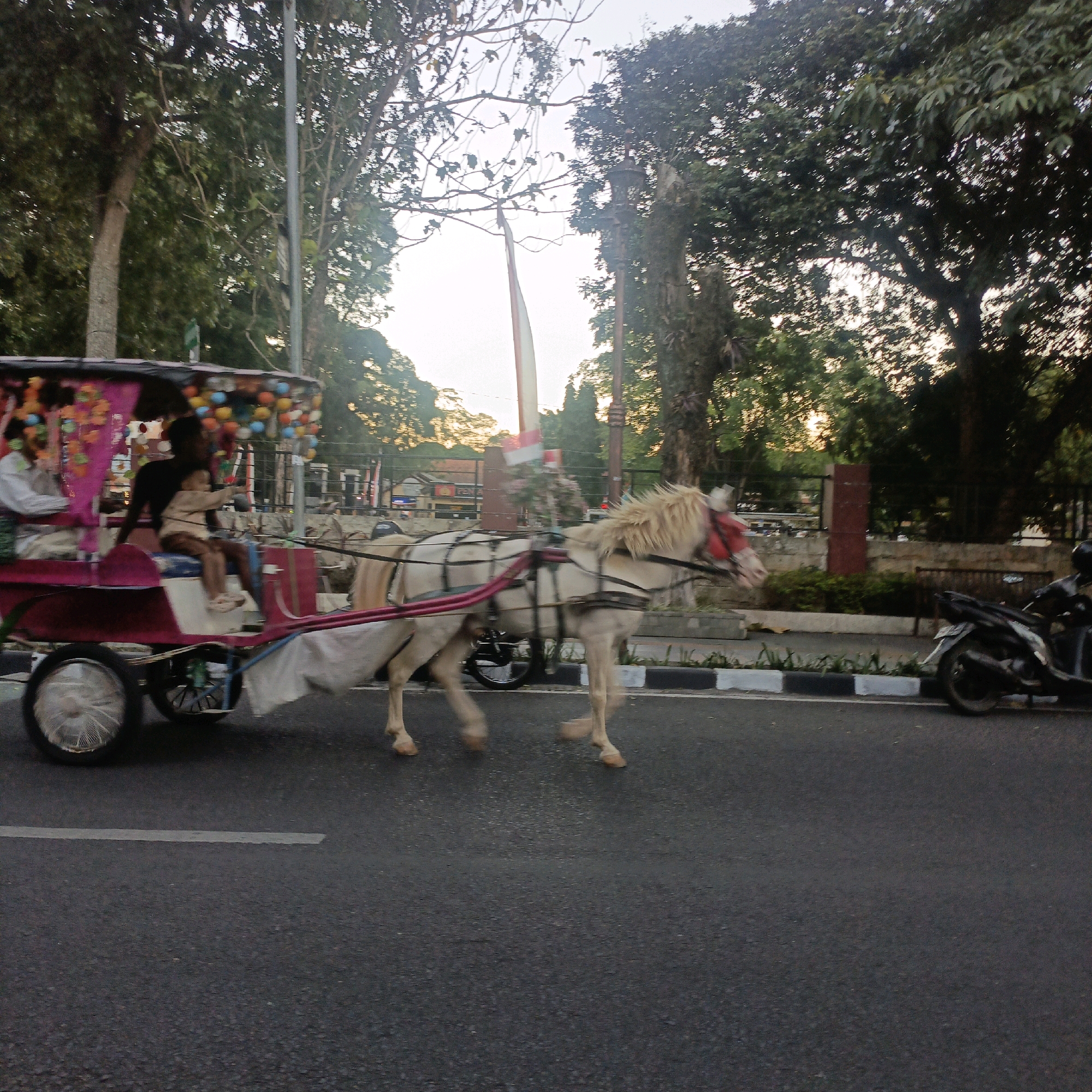 A horse-drawn carriage, adorned with colorful decorations and carrying at least two passengers, moves along a paved street in Salatiga, Indonesia. The carriage has a pink canopy with strings of colorful balls hanging from it. A light-colored horse, wearing a red bridle and harness, pulls the carriage. In the background, trees and buildings are visible, with a parked motorcycle on the side of the road. The scene appears to be from a warm, sunny day, with the sun casting long shadows.
